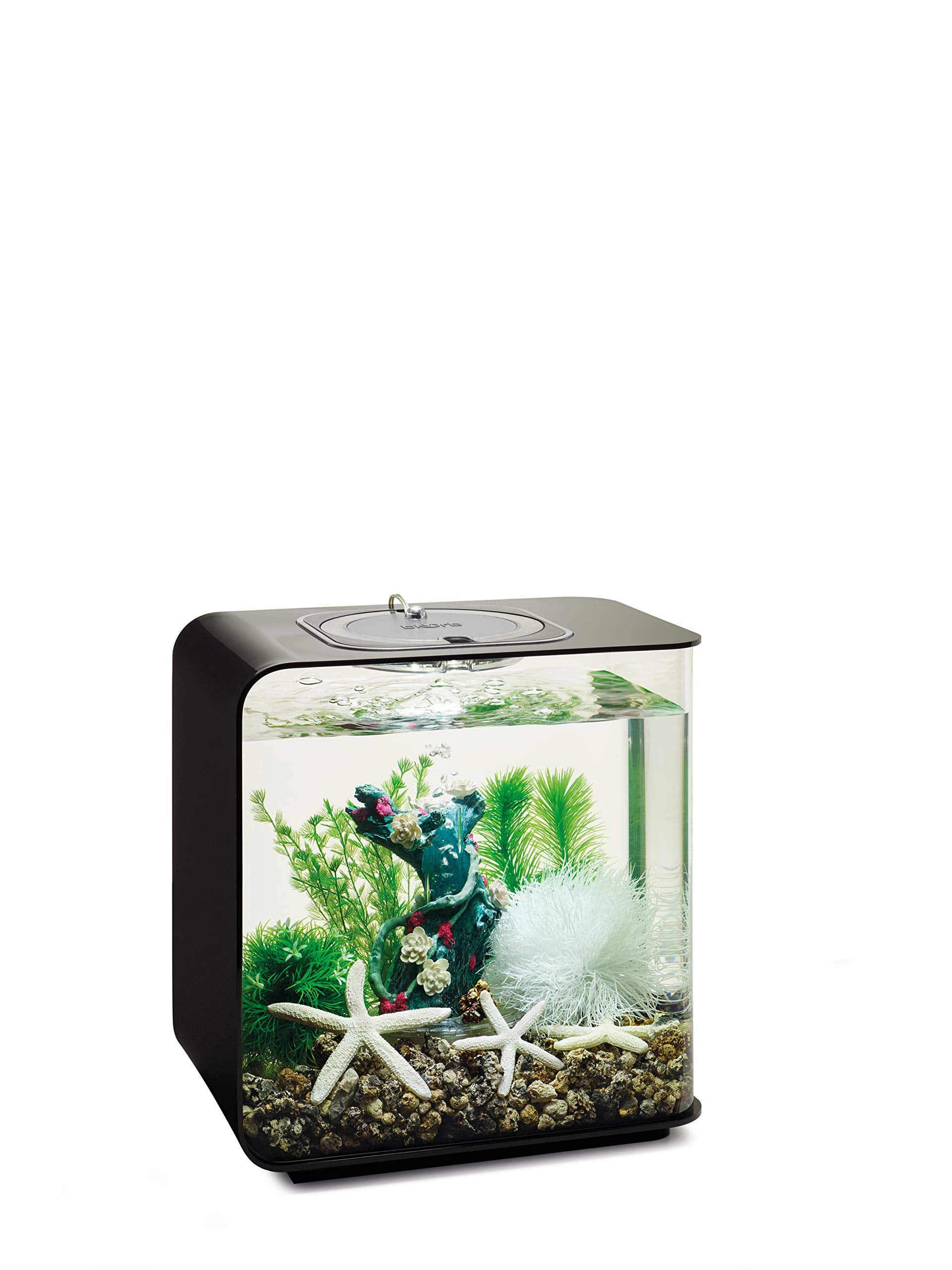 Biorb Decor Set – 15L Flower Garden
