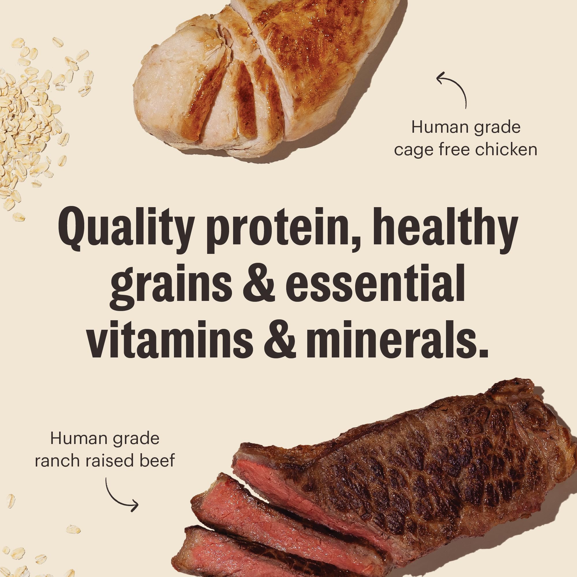The Honest Kitchen Human Grade Essential Clusters Dry Dog Food, Whole Grain Beef & Chicken 20 lb Bag