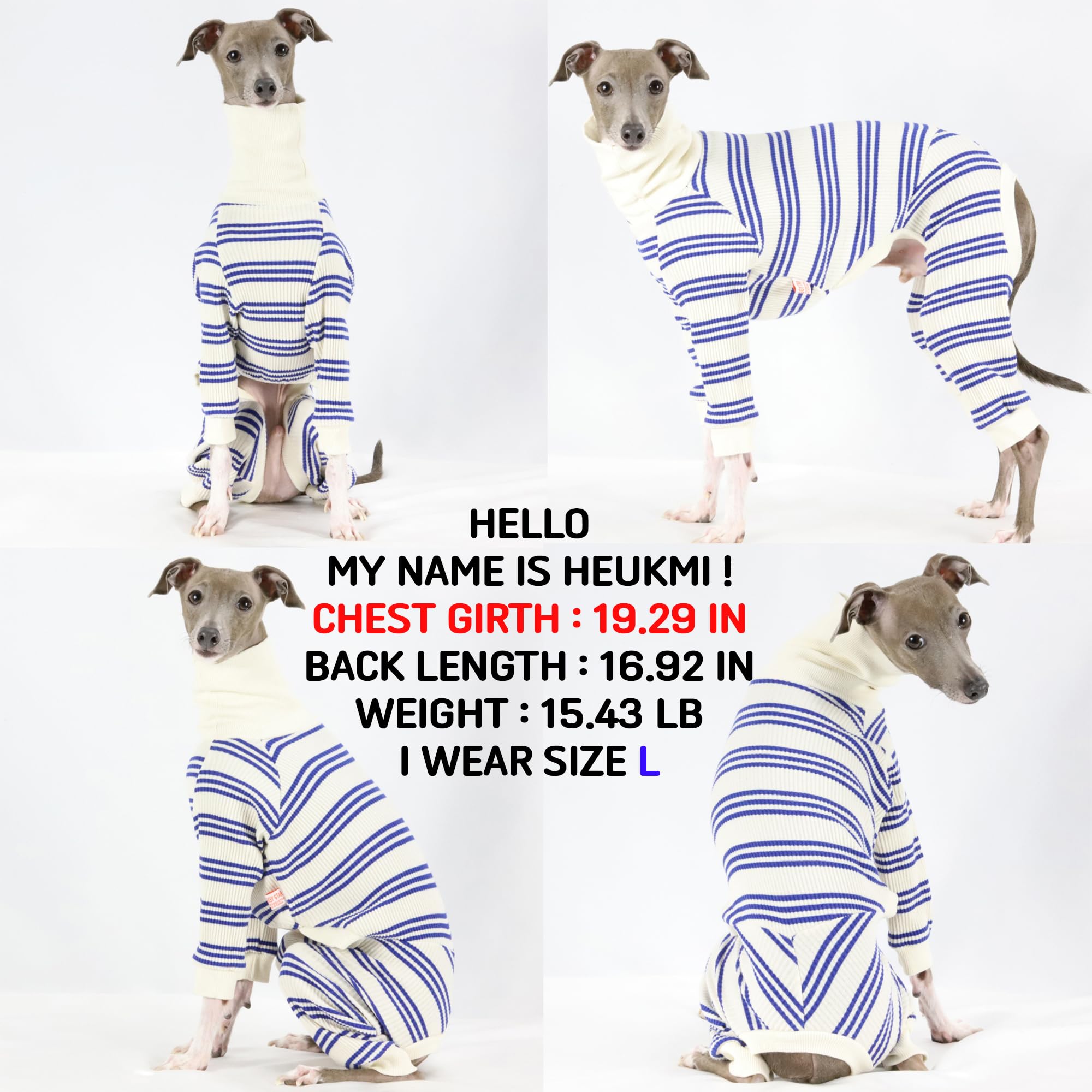 D Doggy Star Italian Greyhound Clothes Soft Stretchy Onesie Refined Stripe Outfit Whippet For Dog Coat (M,Onsi Blue Str)