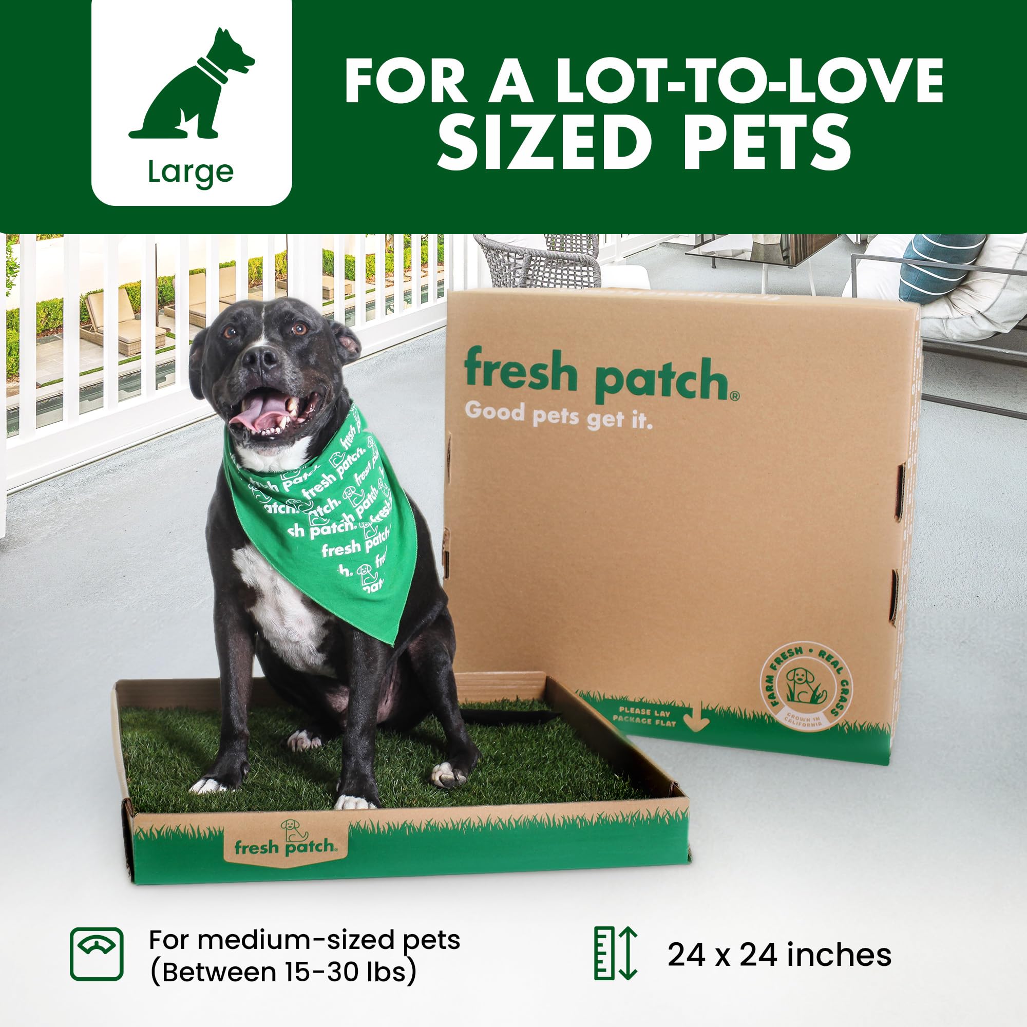 Fresh Patch Real Grass Patch For Dogs, Cats, And Large Pets 15-30 Pounds - Disposable Pet Grass Pee Pads - Indoor And Outdoor Po