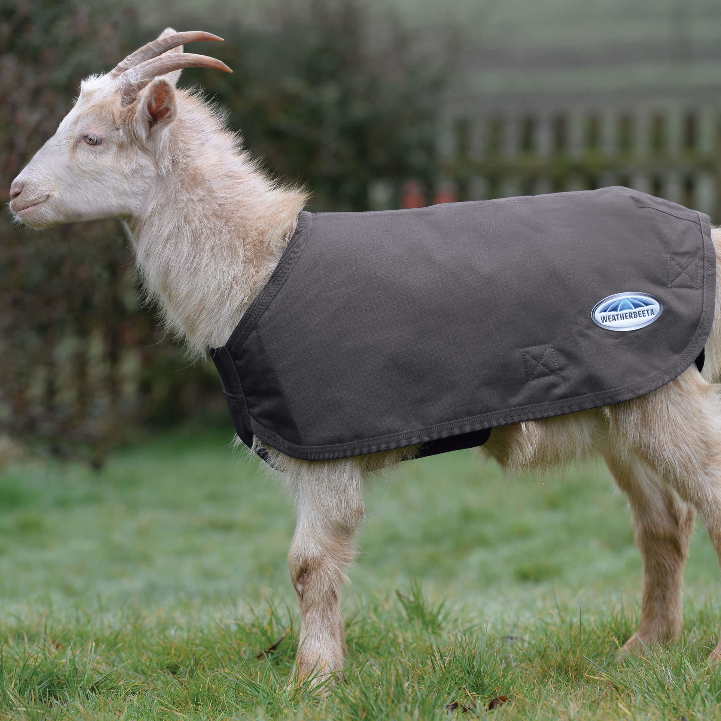 Weatherbeeta Deluxe Goat Coat, Grey, 2Extra Large