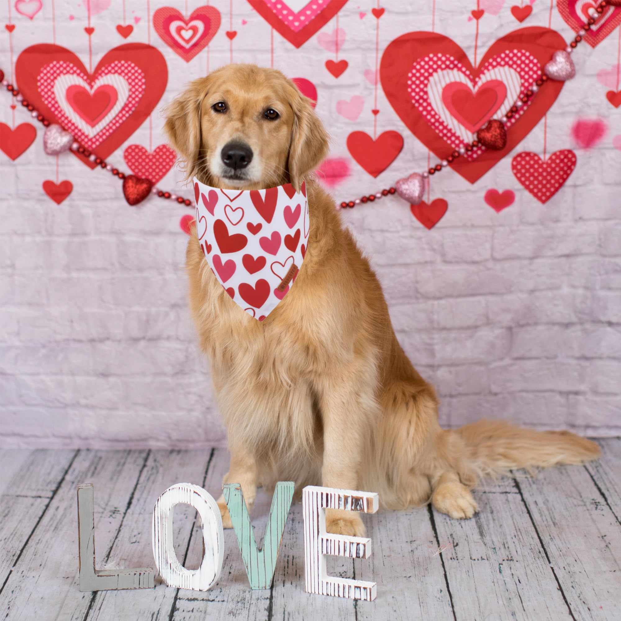 ADOGGYGO Valentine Dog Bandanas, Red Pink Heart Pet Scarf, Multi Size Offered, White Red Valentine Bandana for Large and Extra L