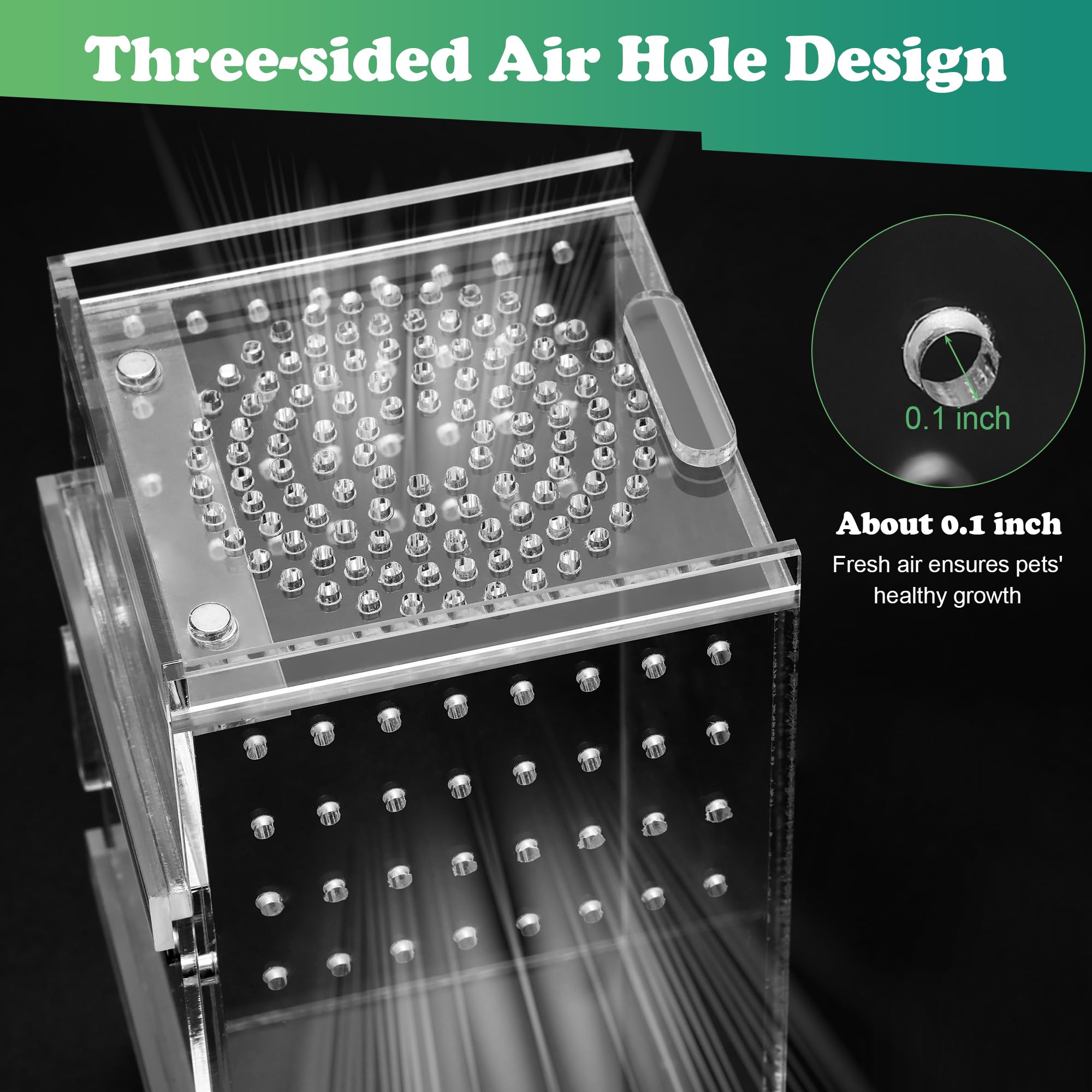 Zhaoyao Jumping Spider Enclosure, 3X3X6 Inch Jumping Spider Habitat With Magnet Opening Door Jumping Spider Accessories Small Ac