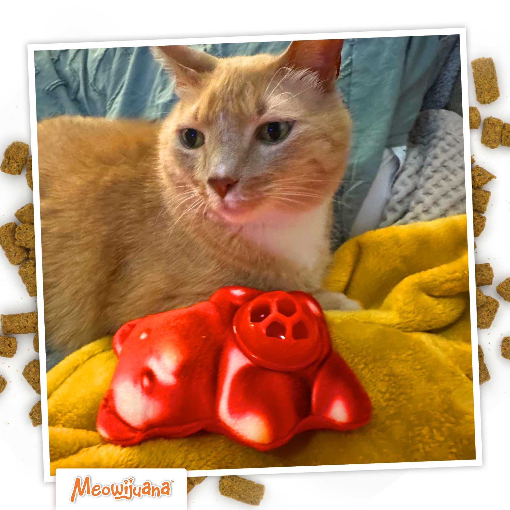 Meowijuana Knock N Nibble Gummy Bear | Refillable Treat Dispensing Cat Toy | Promotes Play and Cat Health | Interactive Puzzle