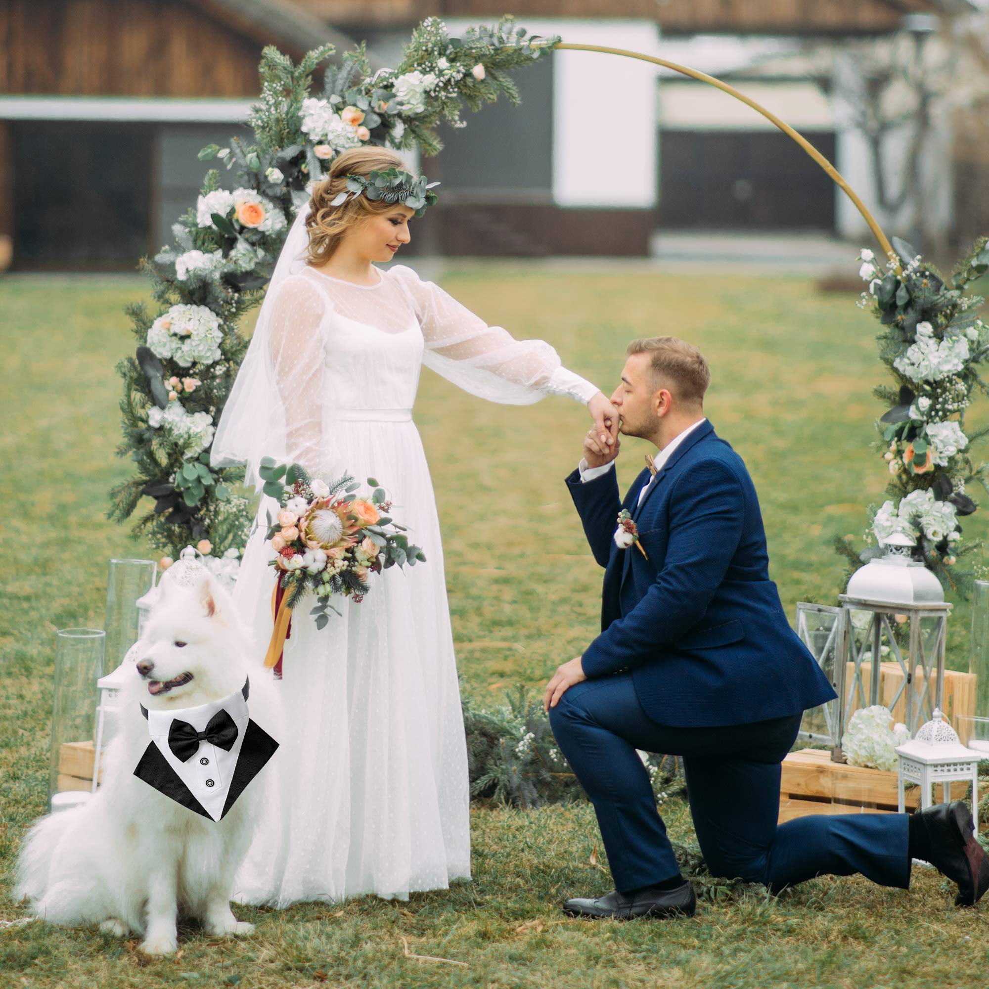 Adoggygo Formal Dog Tuxedo Wedding Dog Bandana Collar Dog Collar With Bow Tie Adjustable Dog Bowtie Collar Bandana For Medium La
