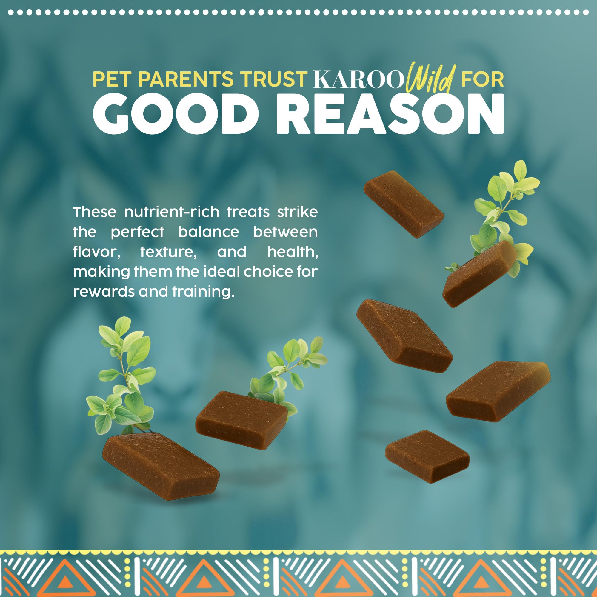 Karoo Wild Trail Bites Oregano Seasoned Treats for Dogs - 8 oz - Soft & Chewy Protein Bites Made with African Antelope - Great f