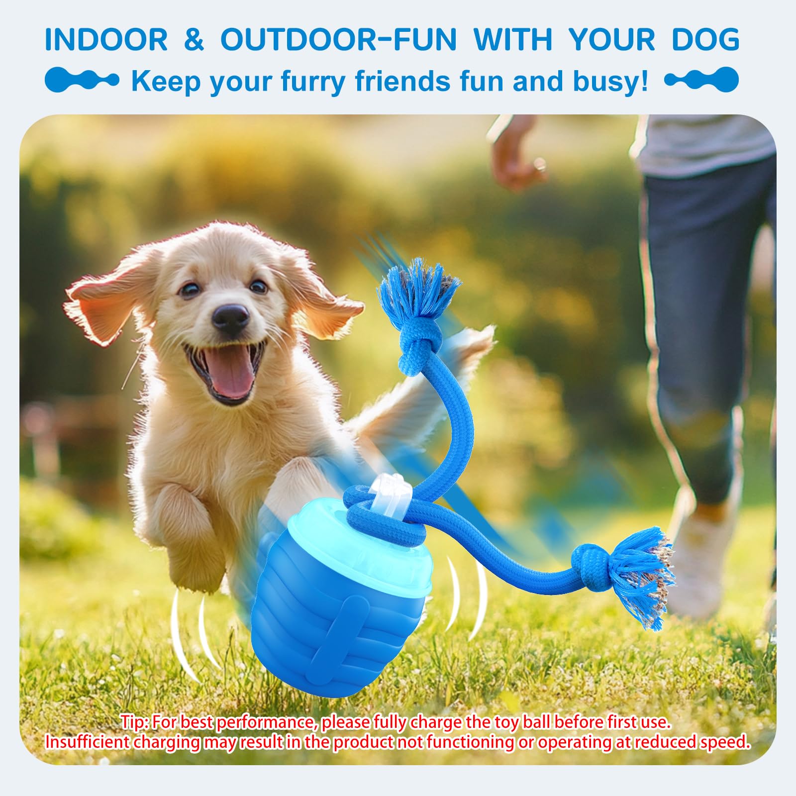 Huimpet Interactive Dog Ball Toy for Medium/Large Dogs, USB Rechargeable, Music Playing, Blue, Model: Dog Toy 01