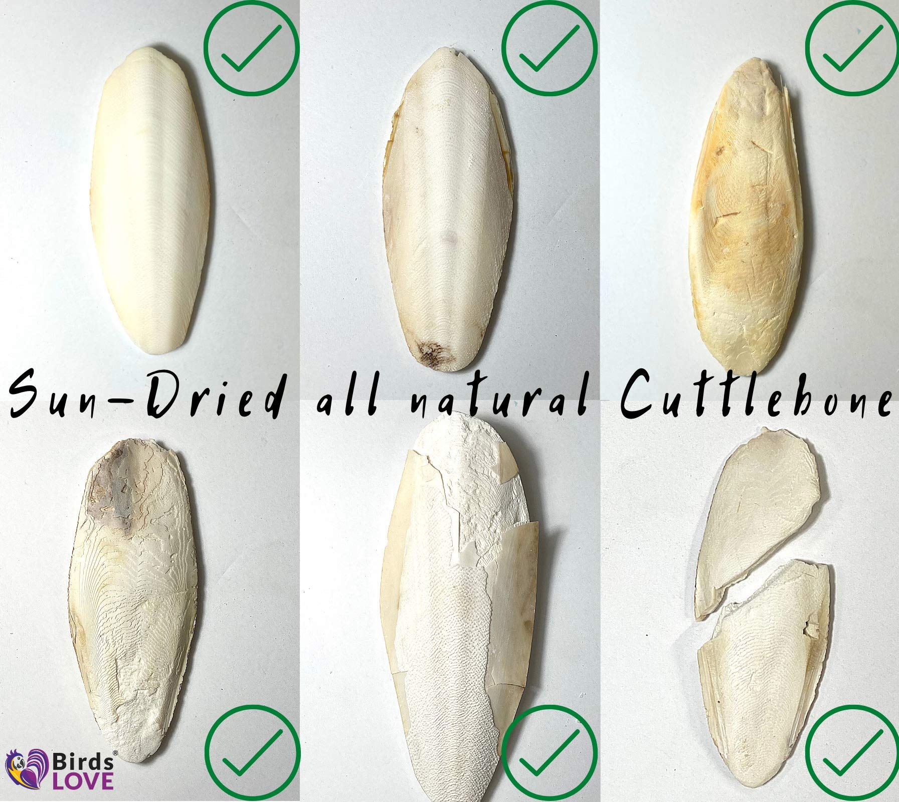Birds LOVE Natural Cuttlebone | 100% Pure Sun-Dried Calcium Supplement for Birds, Tortoises, Snails & Crabs | Supports Beak & Sh