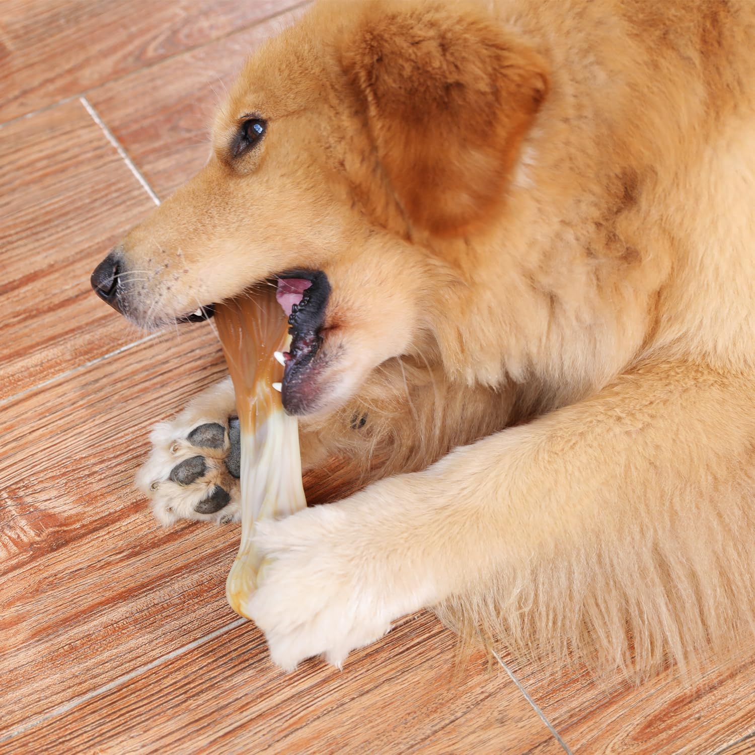 Tikaton Holiday 3-Pack Durable Dog Chew Toys For Aggressive Chewers, Bacon Flavor, Extra Large