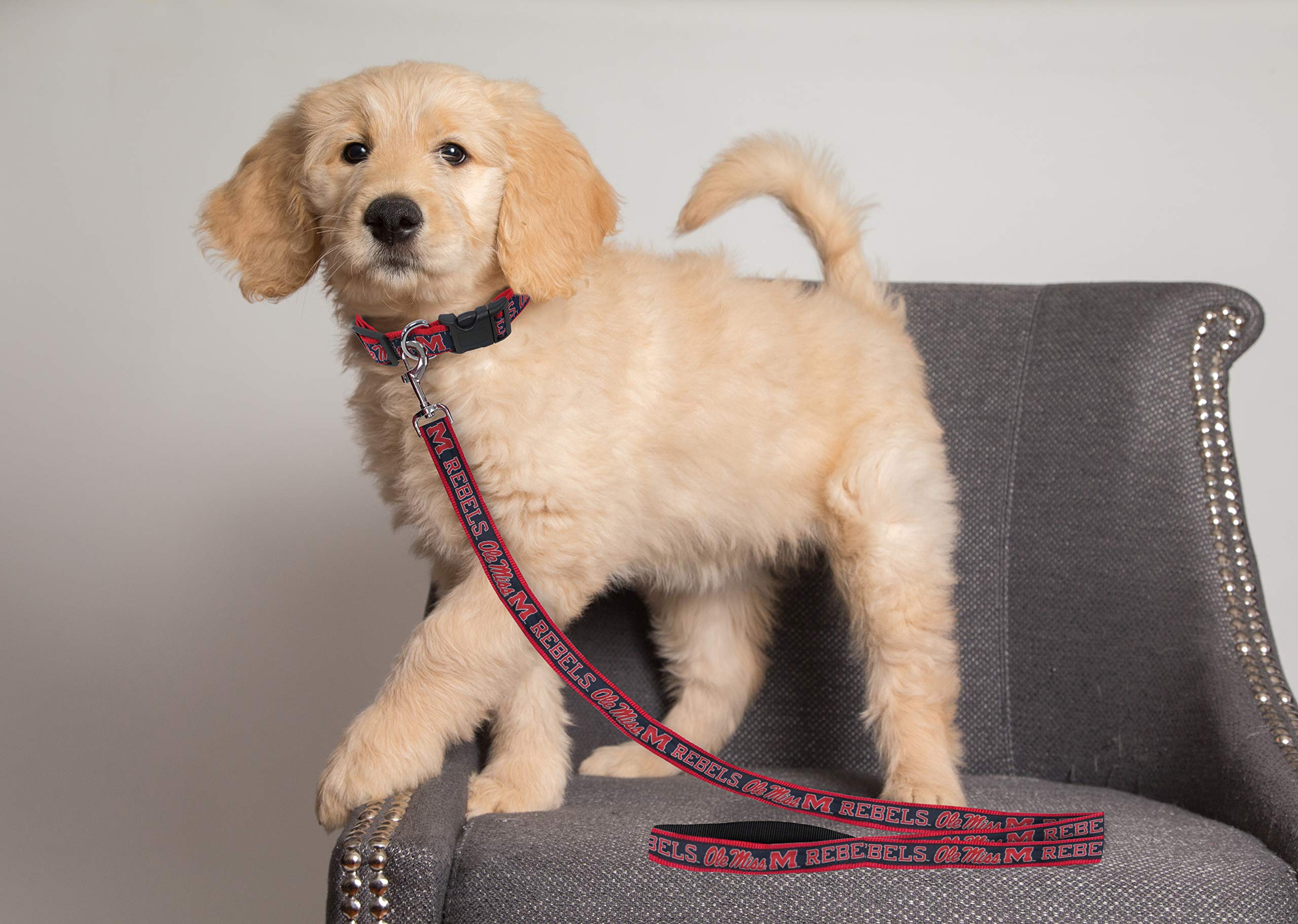 Ncaa Pet Leash, Small, Mississippi Ole Miss Rebels, Shiny & Colorful Leash For Dogs & Cats Licensed By The Ncaa