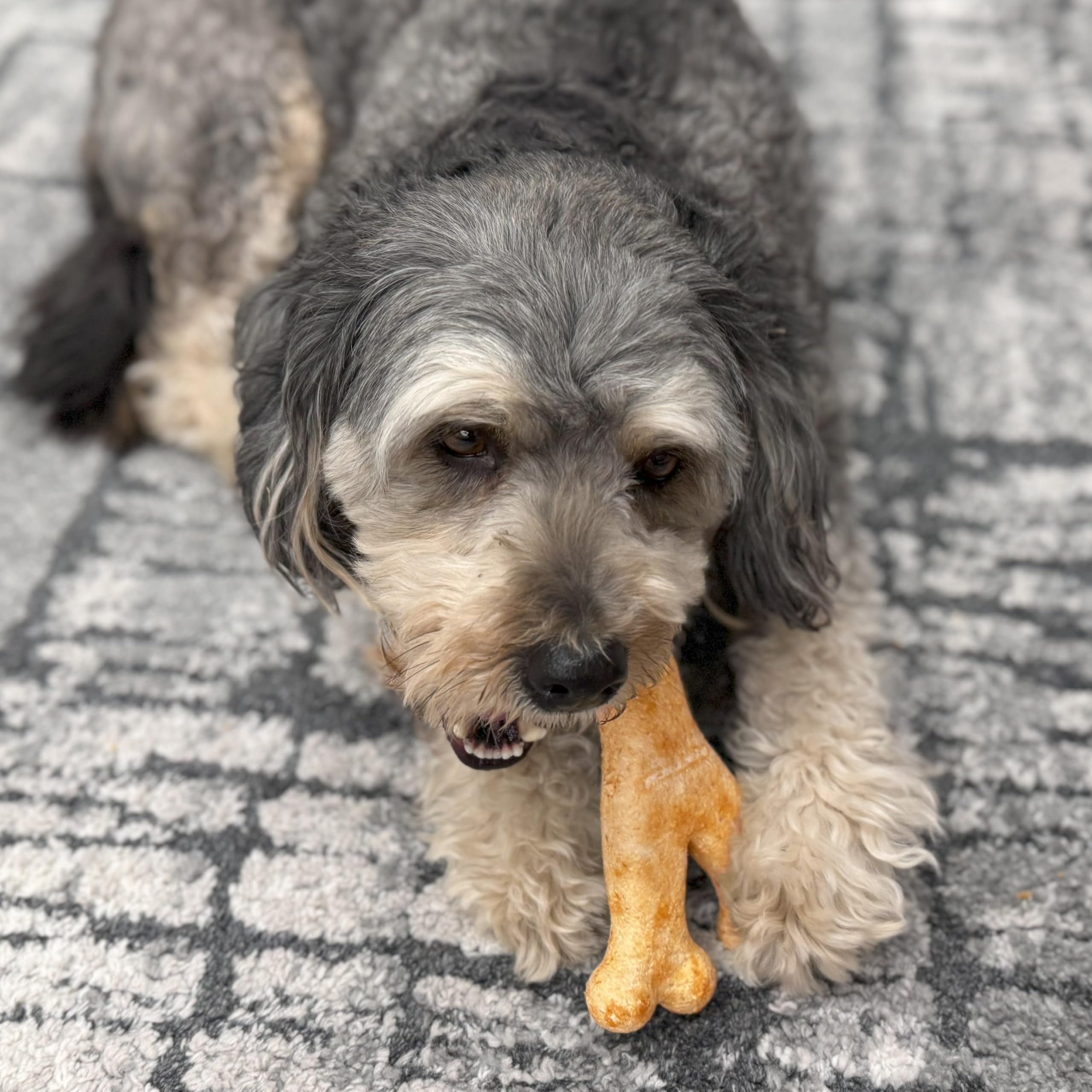 Fieldcrest Farms Nothin to Hide Collagen-Based Dog Chews, Wishbone, Beef Flavor, Ultra-Premium, for Dogs Over 50lbs, Easily Dig