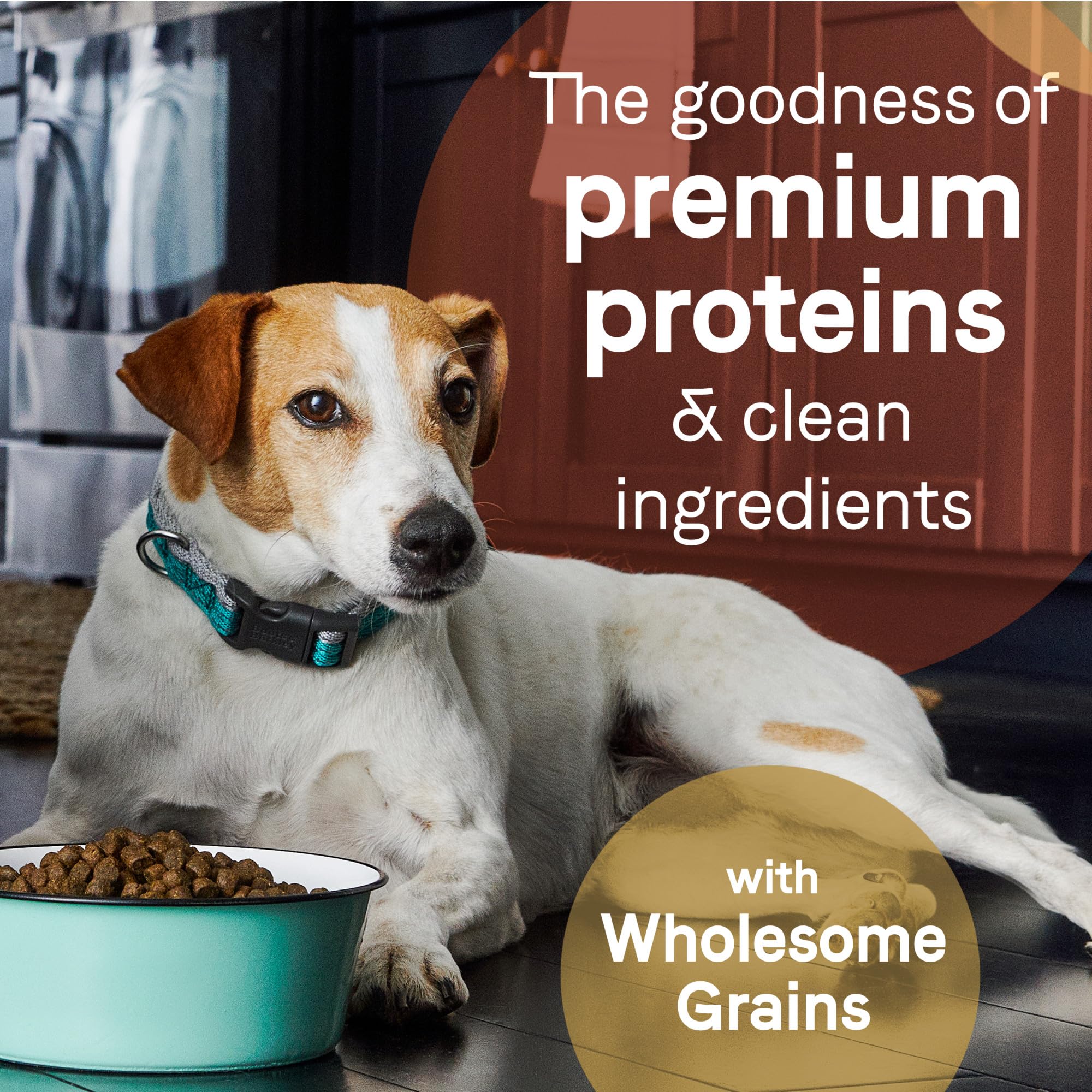 CANIDAE Pure Limited Ingredient Puppy Dry Dog Food, Real Salmon & Oatmeal, 22 lbs, Wholesome Grains