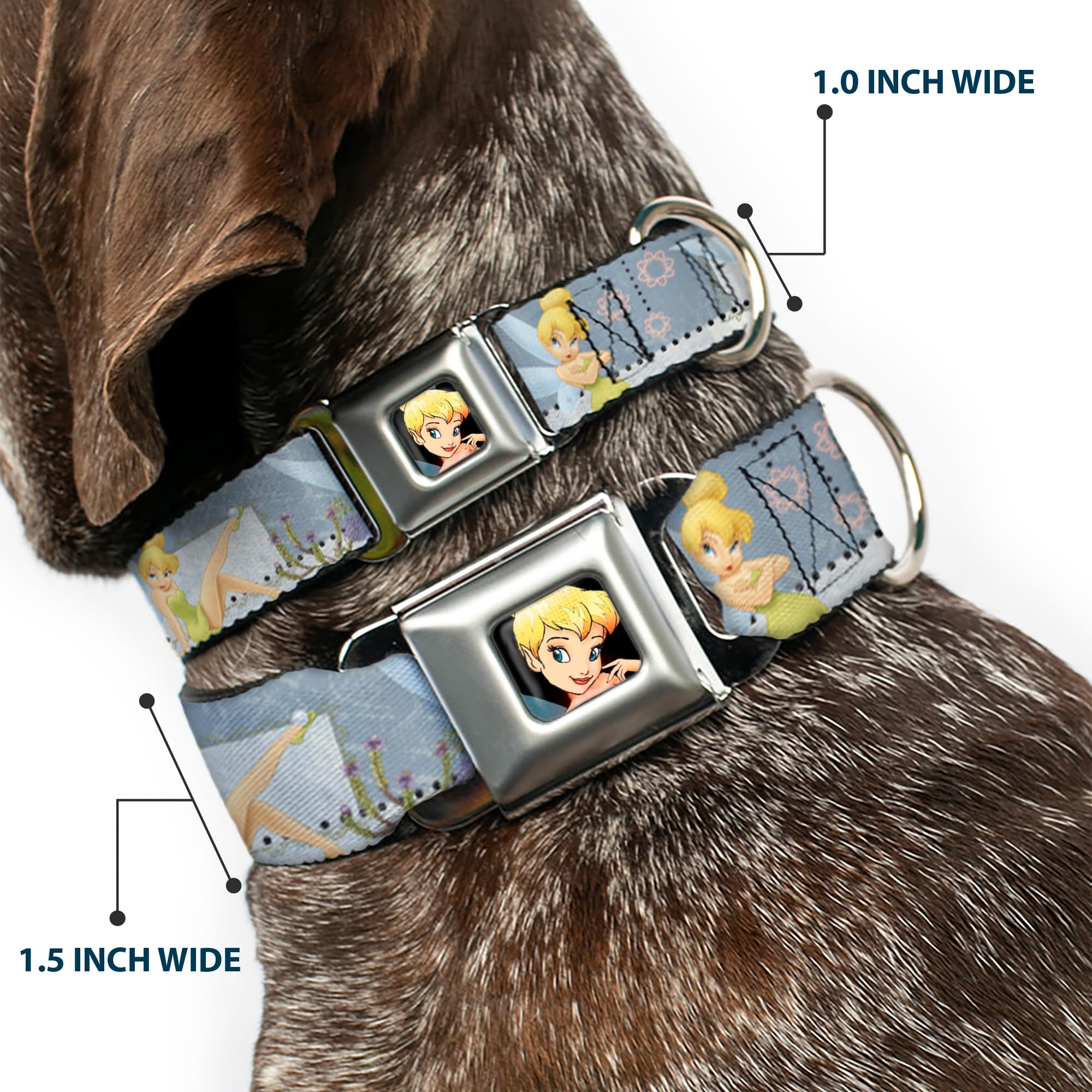 Buckle-Down Seatbelt Buckle Dog Collar - Tinker Bell Garden Poses - 1' Wide - Fits 11-17' Neck - Medium