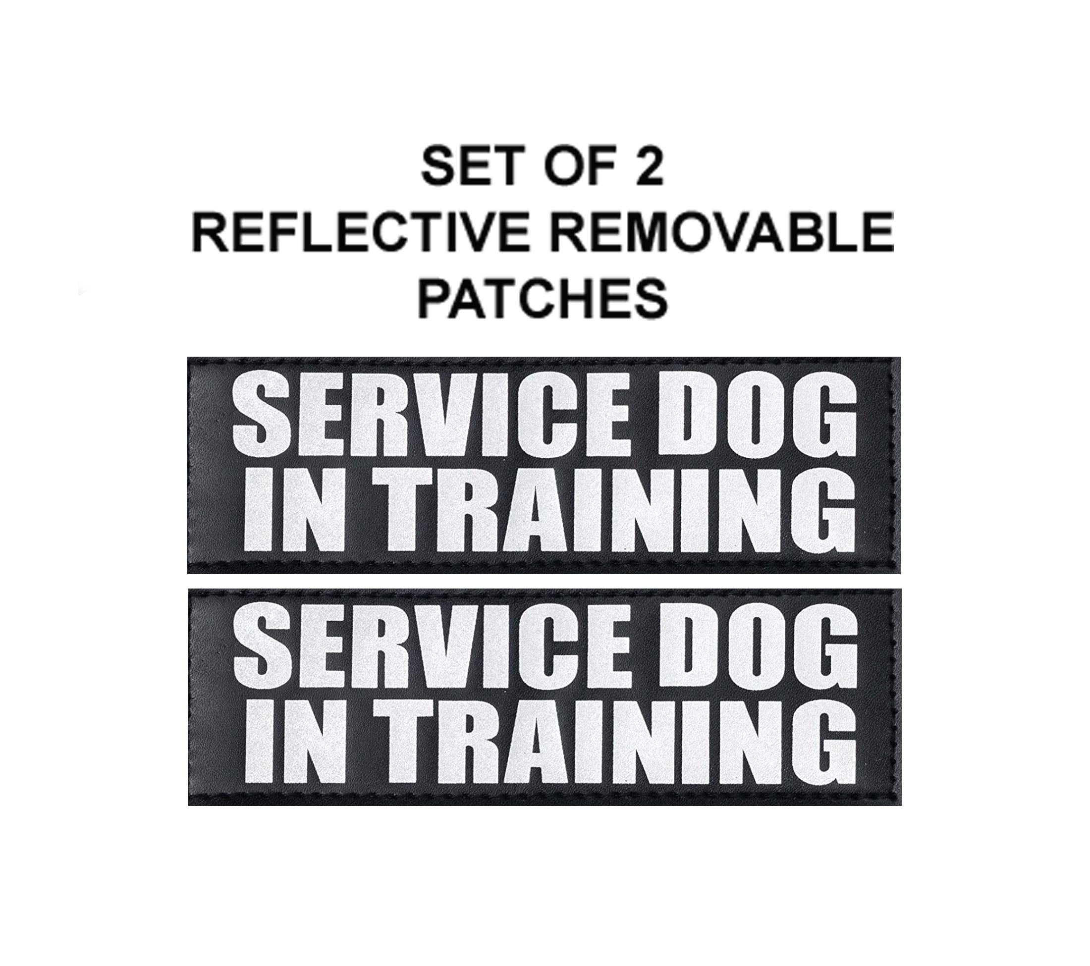 Doggie Stylz Official Service Dog In Training Vest Harness Bundle Kit. Includes Set Of Service Dog + Service Dog In Training Removable Reflective Patches + 30 Inch Lead + 2 Id Dog Tags