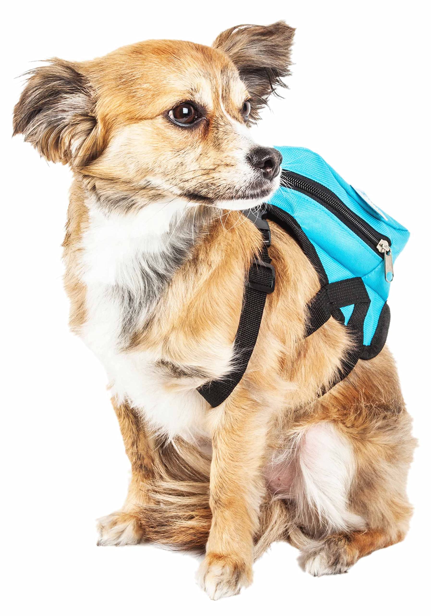Pet Life        'Waggler Hobbler' Large-Pocketed Compartmental Animated Dog Harness And Pet Backpack Carrier With Added Pouch Al