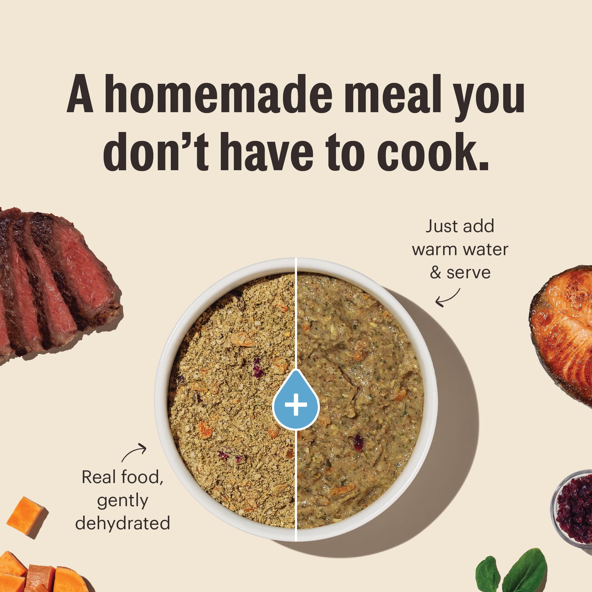 The Honest Kitchen Human Grade Dehydrated Gourmet Grains Chicken & Duck Dog Food, 4 lb Box
