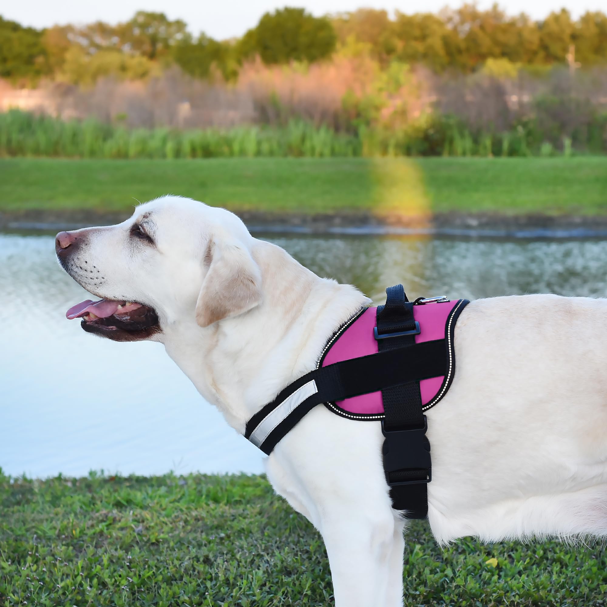 Dogline Reflective No-Pull Adjustable Vest with Handle for Walking, Training, Service Breathable No - Choke Harness for Small, M