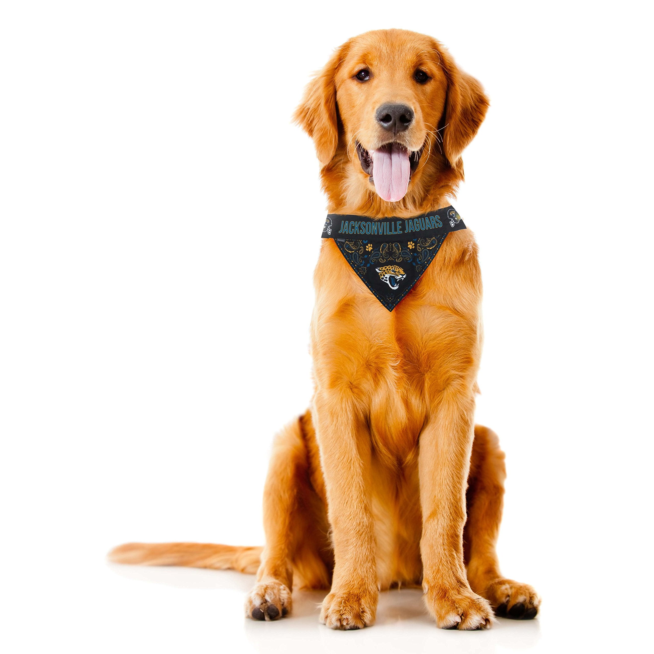 Littlearth Unisex-Adult Nfl Jacksonville Jaguars Pet Bandana, Team Color, X-Small