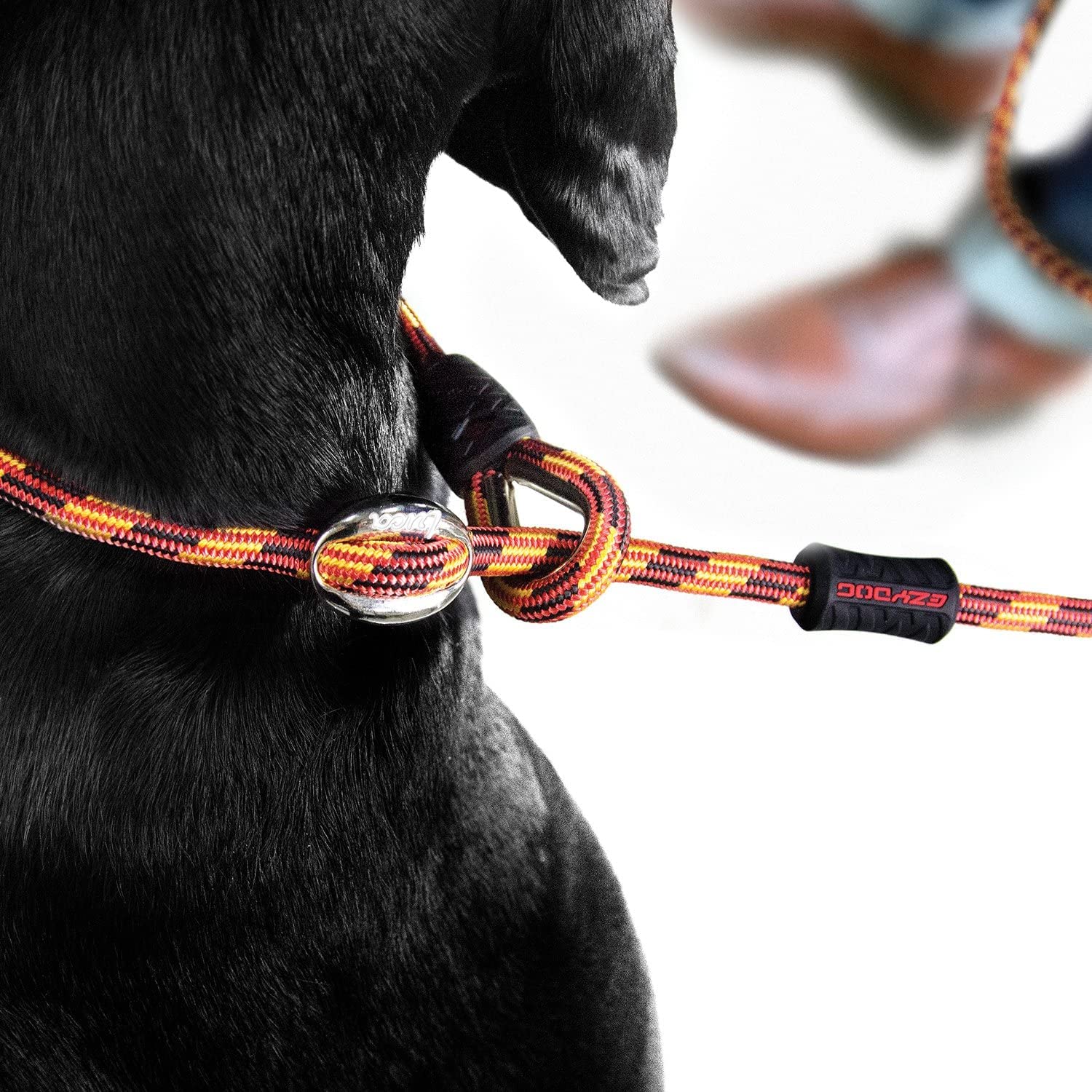 Ezydog Luca All-In-One Slip Collar Climbing Rope Dog Leash Combo - Best Dog Lead For Control, Training, Correction, And Exercising - Perfect For Small Dogs (Lite, Orange)
