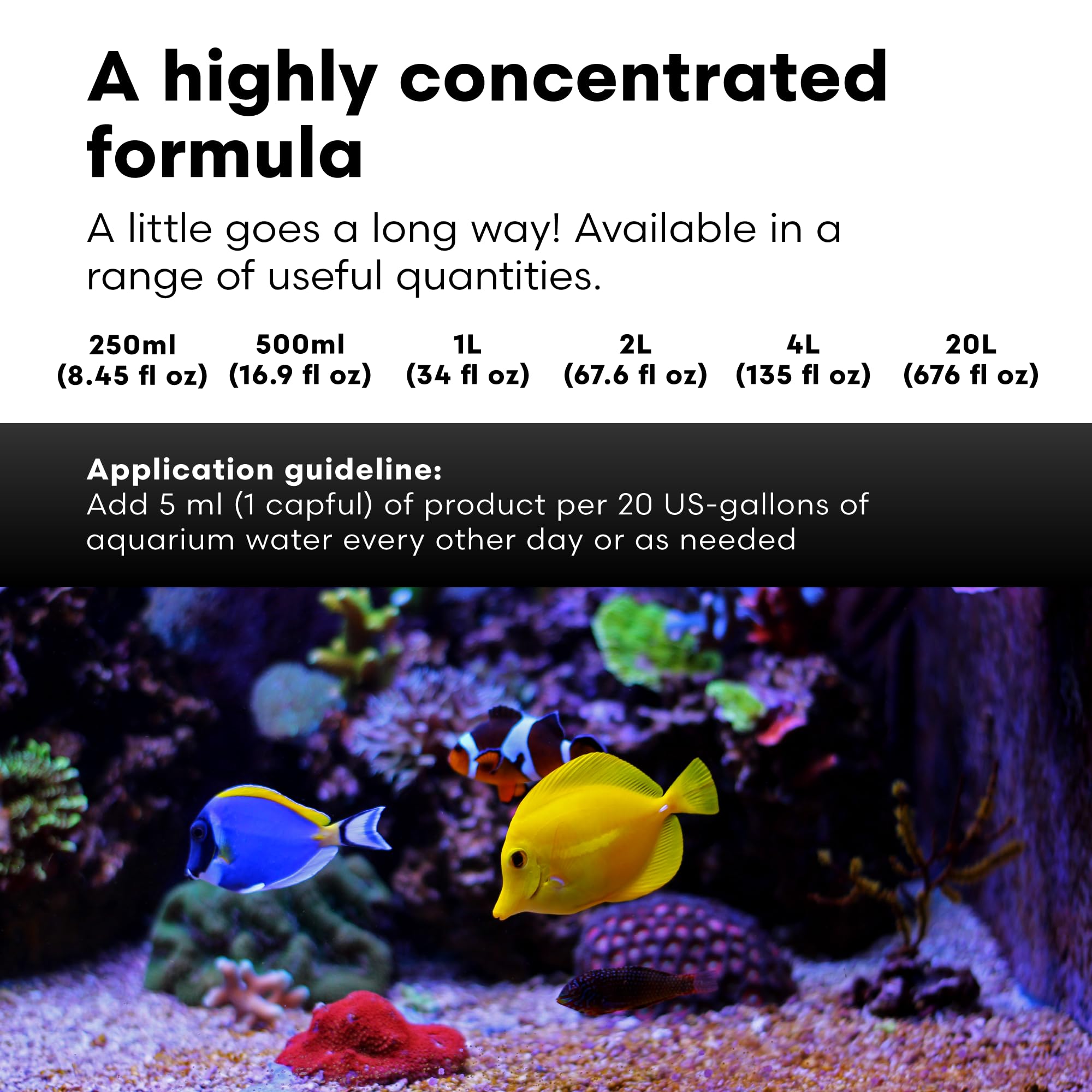 Brightwell Aquatics Magnesion Liquid Salt Water Conditioner - Concentrated Magnesium Supplement For Reef and Marine Aquariums, 6