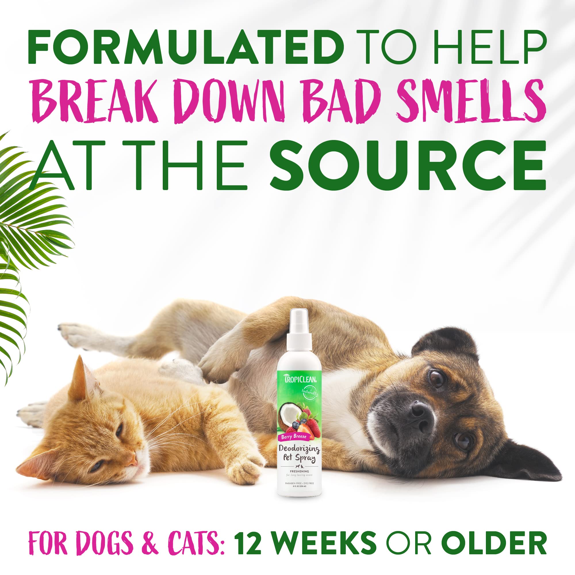 Tropiclean Dog Perfume, Long Lasting Berry Cologne, Deodorizing Spray For Smelly Dogs, After Bath Detangling Spray With Vitamin