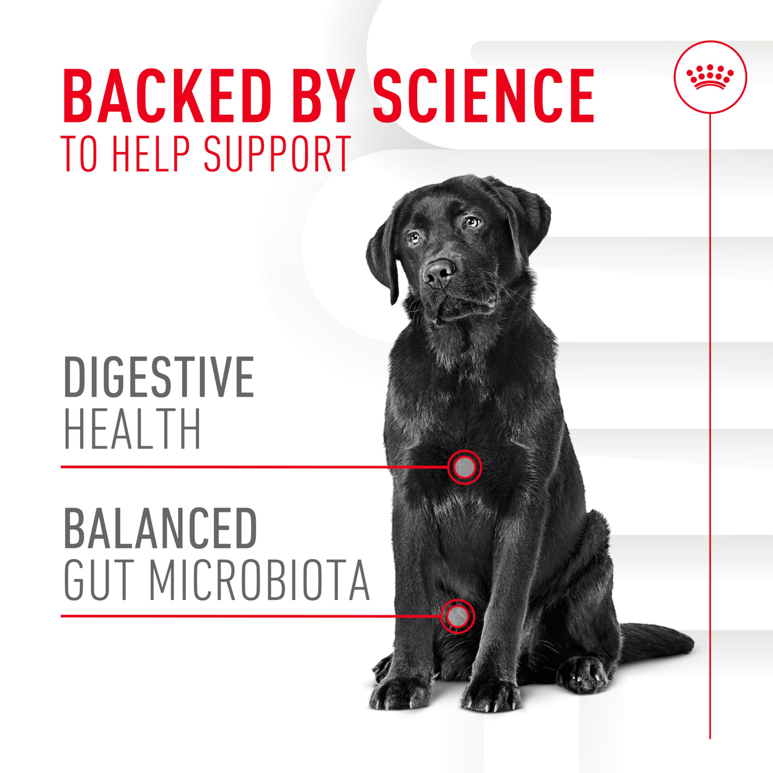 Royal Canin Digestive Supplement Soft Chews for Adult Dogs 8.47 oz (60 Count)