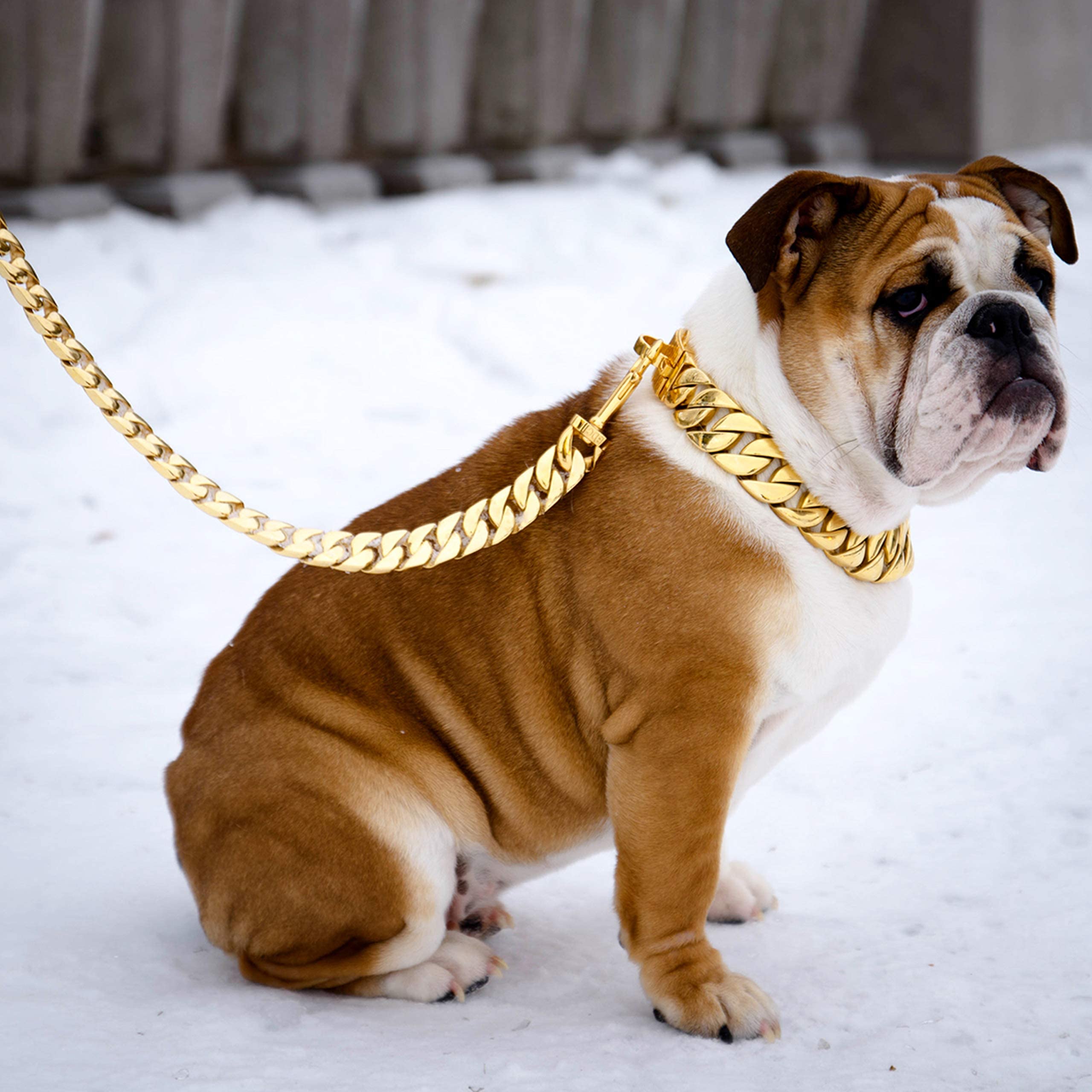 Big Chew Proof Dog Leash for Large Dogs, txprodogchains 32MM Thick Gold Chain Leash Heavy Duty Chain Dog Leash Stainless Steel D