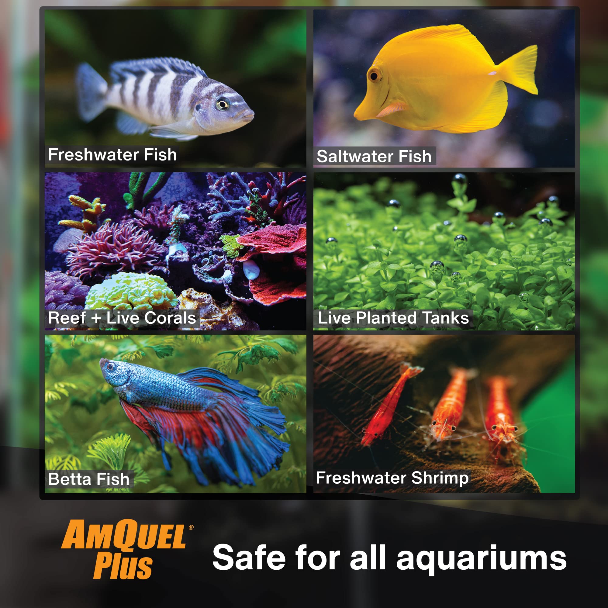 Kordon AmQuel Plus Aquarium Water Conditioner - Instantly Detoxifies Ammonia, Nitrite, Nitrate, and Chlorine Remover for Freshwa