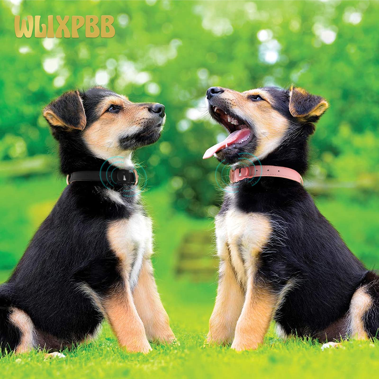 Wlixpbb Airtag Leather Dog Collar For Small Medium Large Dog Adjustable Soft Padded Air Tag Puppy Collar Heavy Duty Metal Buckle