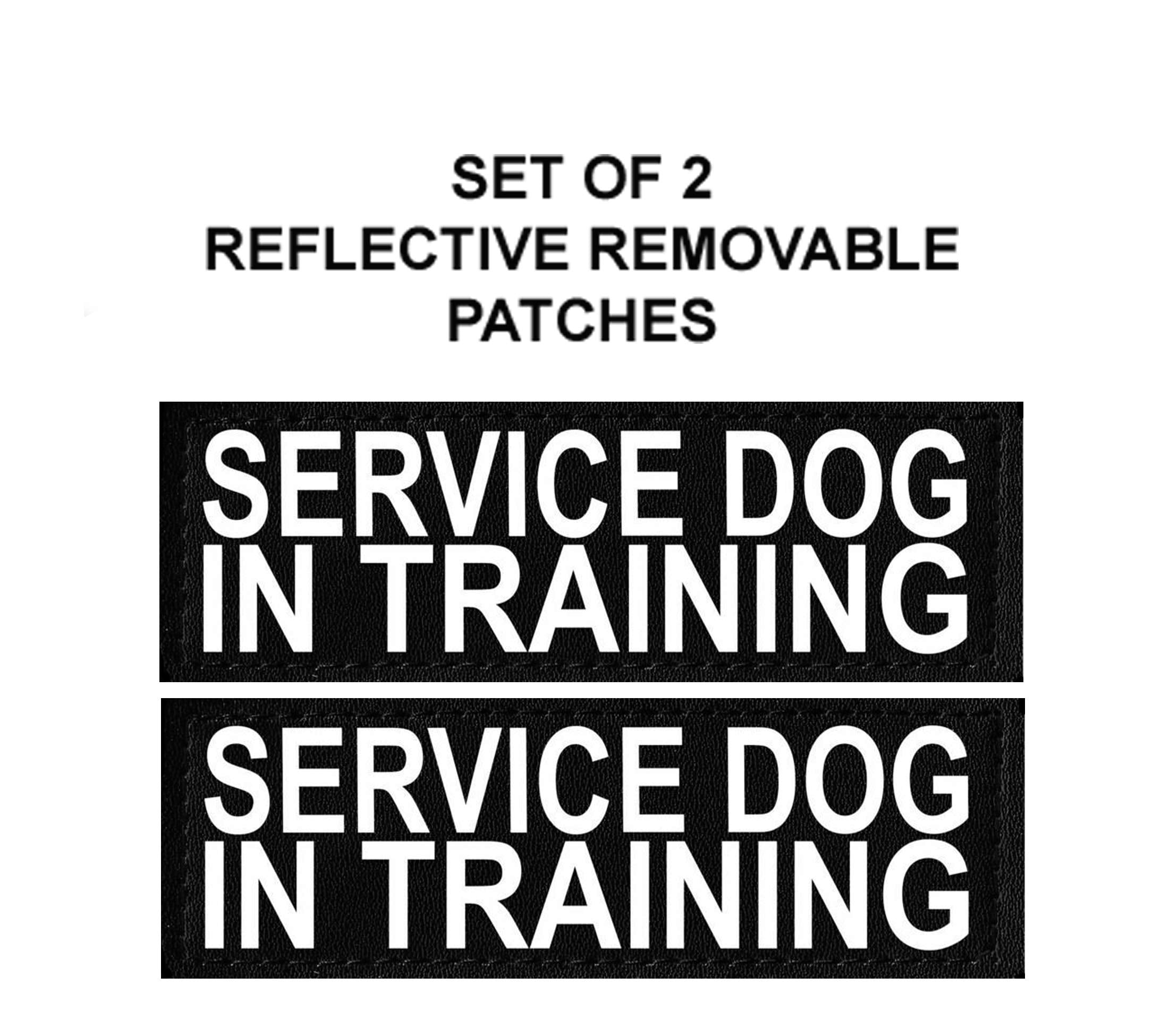 Set Of 2 Reflective Service Dog In Training Patches For Service Dog Harnesses & Vests. (Medium 4' X 1.5')