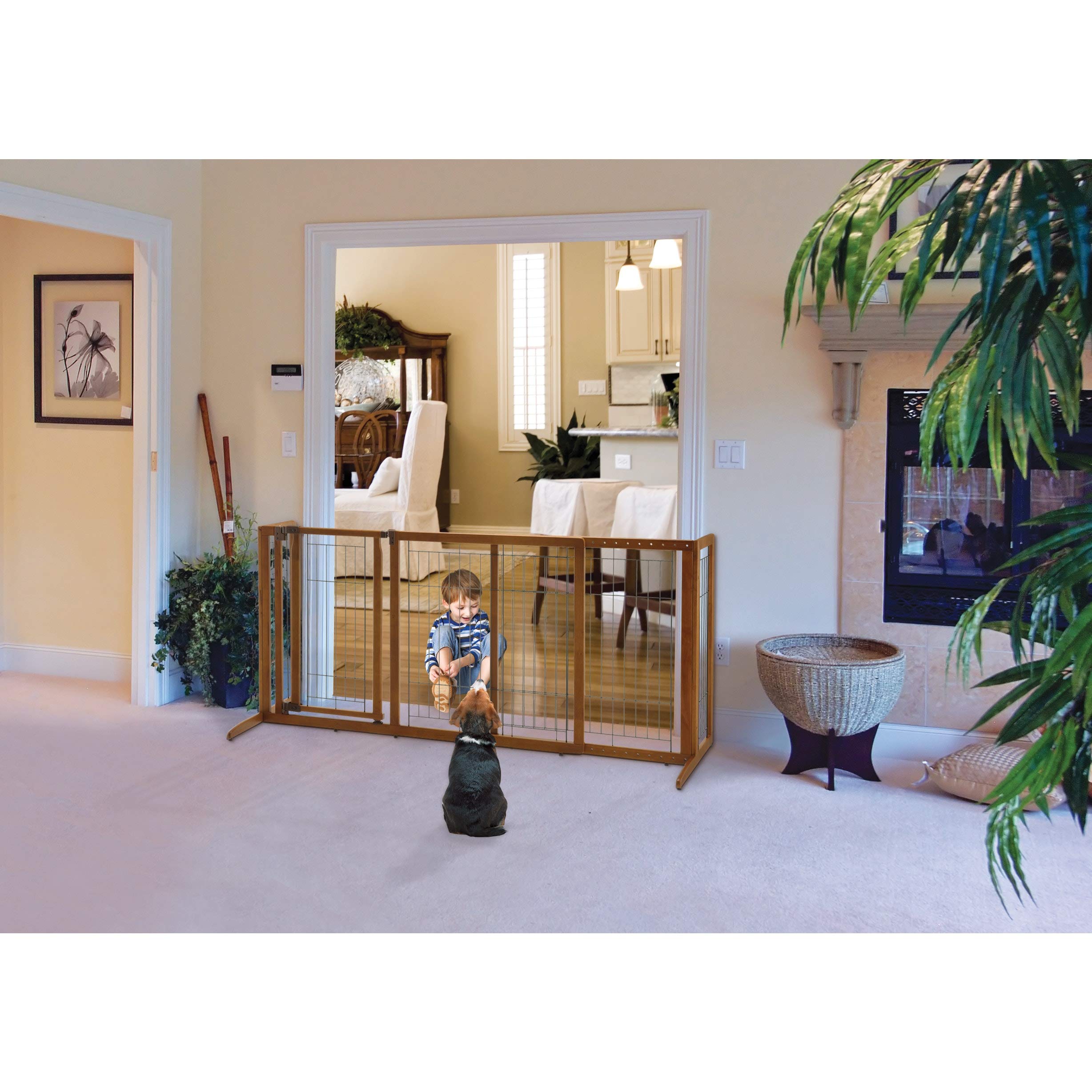 Richell Deluxe Freestanding Pet Gate With Door, Large