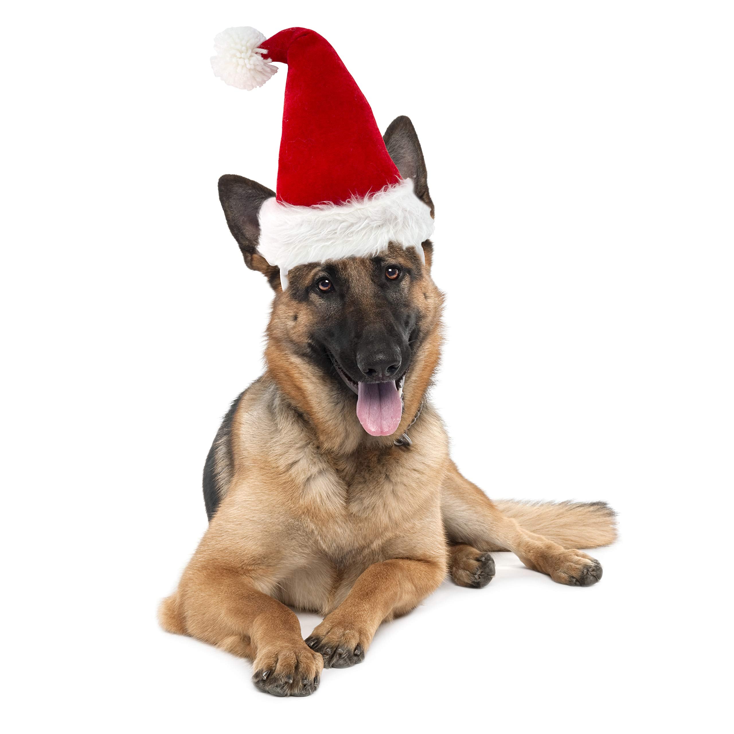 Companion Gear Pet Holiday Headbands, Holiday Santa Hat, Medium/Large Pet, Hat for Party Accessory