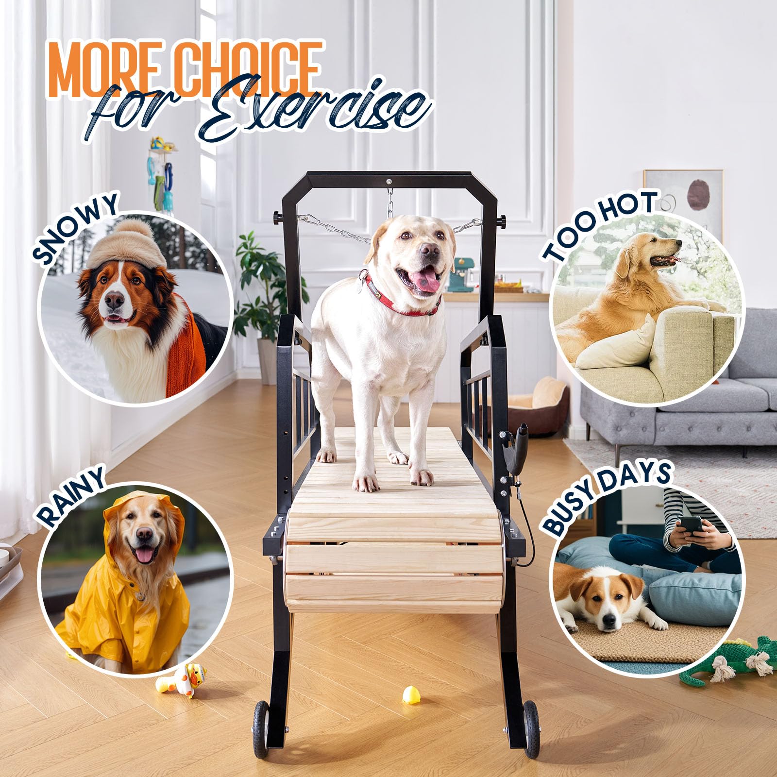 Albott Dog Treadmill for Large & Medium Dogs with Pace Adjustbable Brake and Roller Wheels, Enlarged Indoor Slatmill for Dogs to