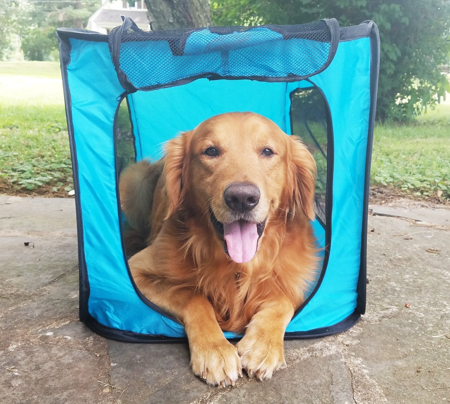 Pop Open Collapsible Travel Crate In 2 Sizes (Large)