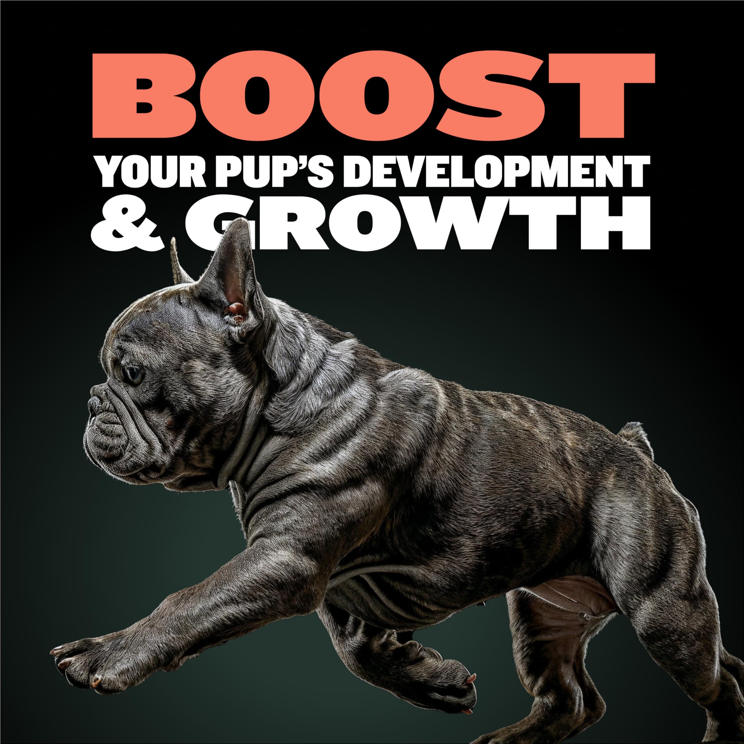 Bully Max 2-in-1 Puppy Vitamins - 30 Chewable Tablets for Development and Growth of Puppies - Dog Treats, Vitamin & Supplements