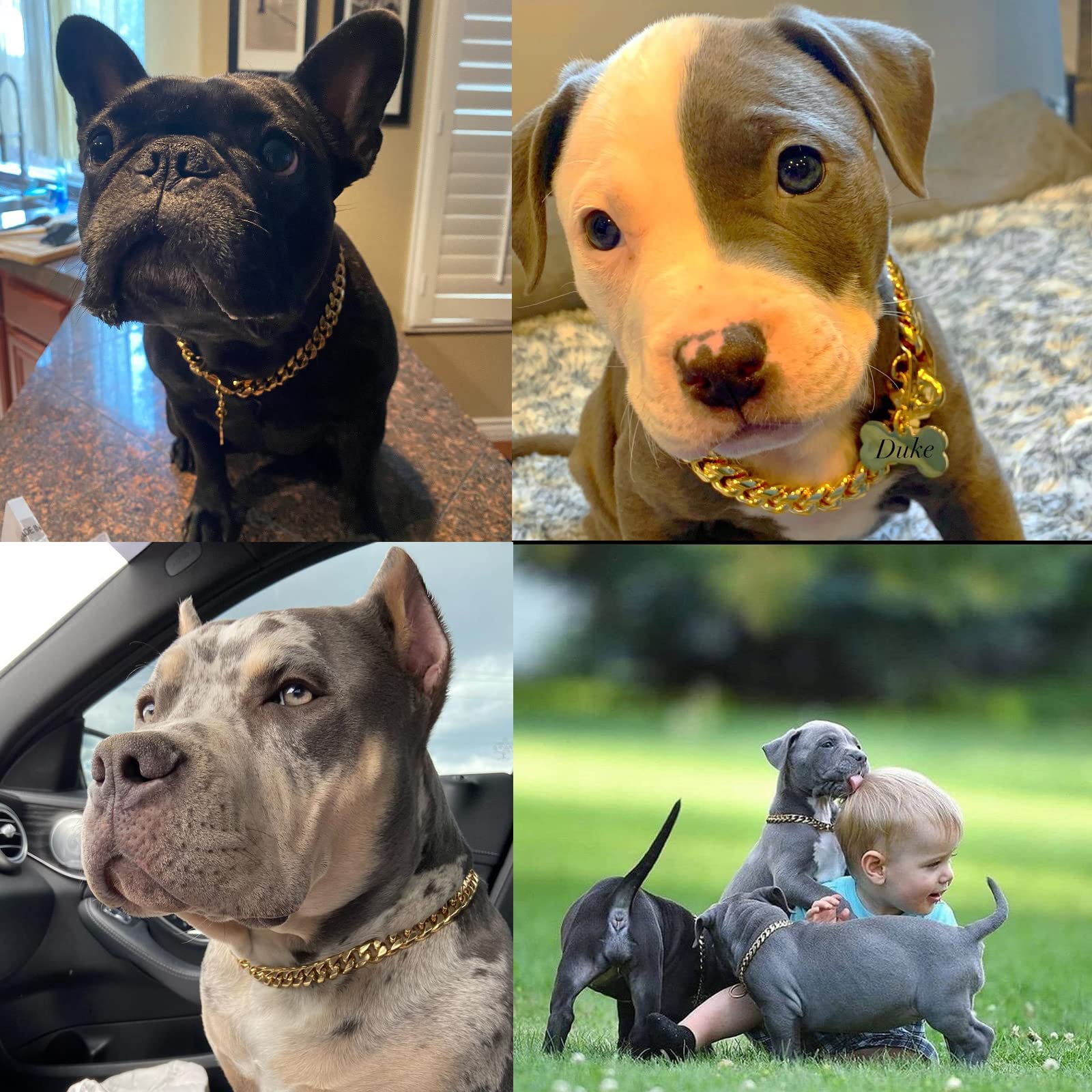 Yowity Gold Dog Collar,14Mm Strong Stainless Steel Cuban Link Dog Gold Chain Collar,Dog Necklace Walking Collar For Medium Large