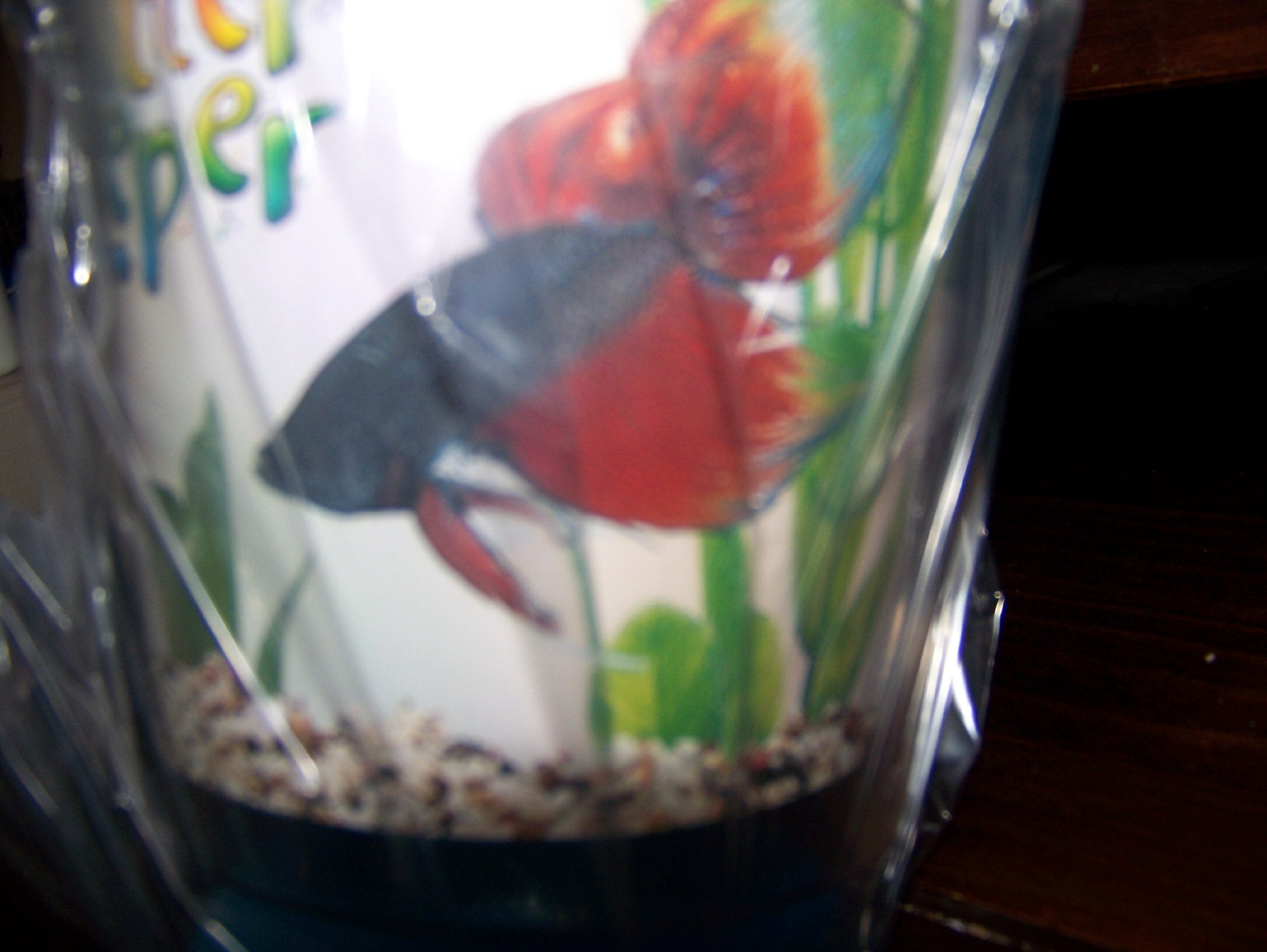 Lees Kritter Keeper, Round With Lid And Pedestal - Small