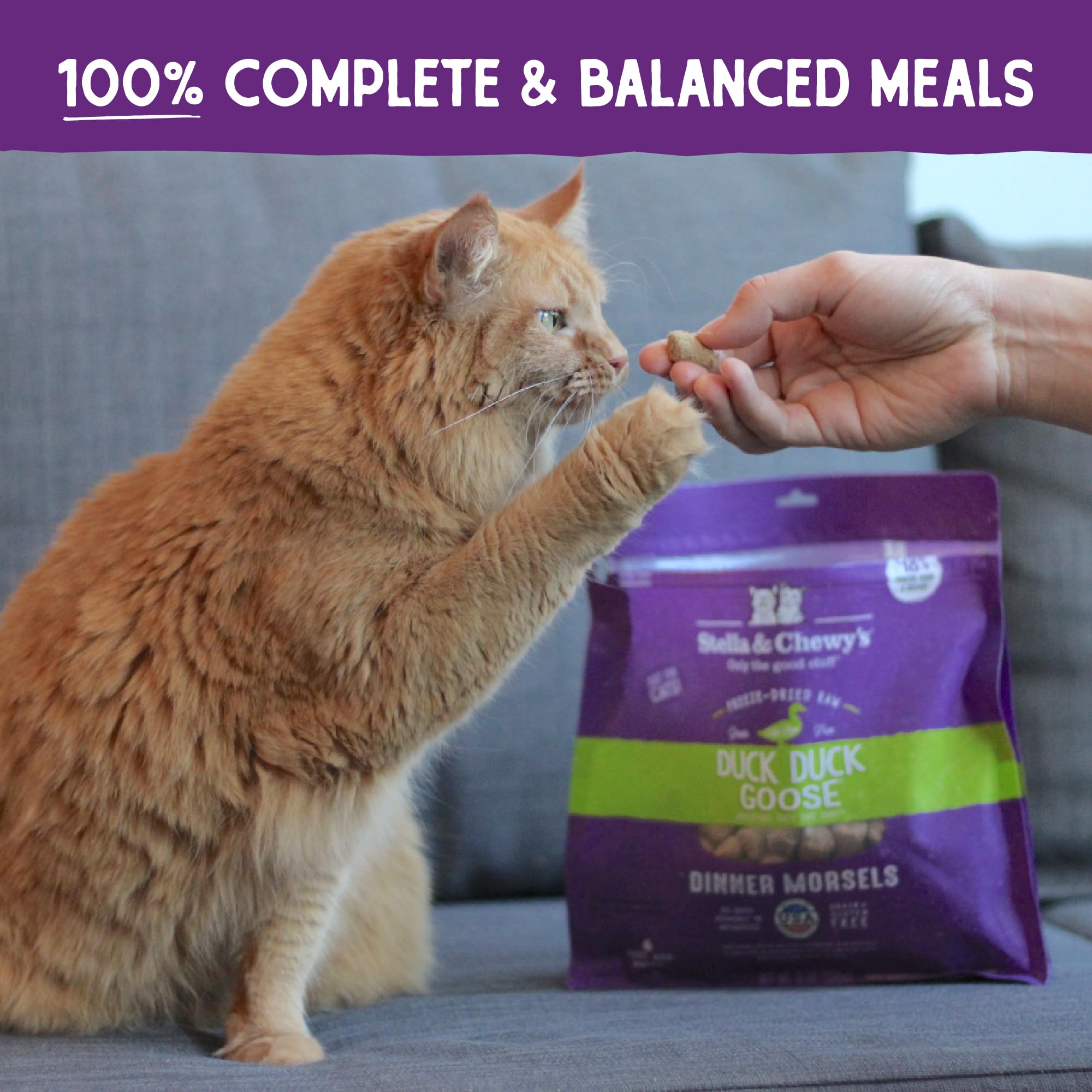 Stella & Chewys Freeze-Dried Raw Cat Dinner Morsels - Grain Free, Protein Rich Cat & Kitten Food - Duck Duck Goose Recipe - 18