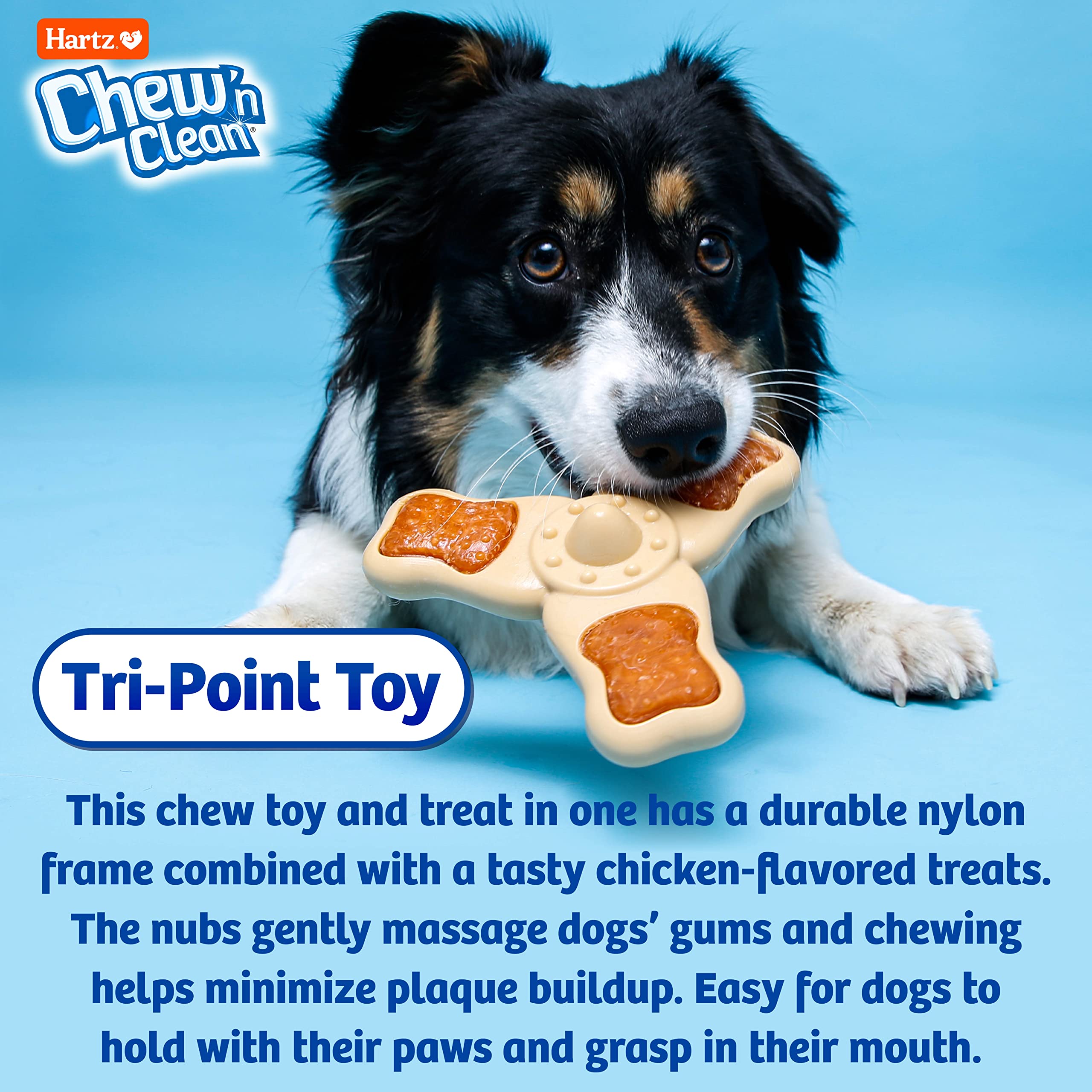 Hartz chew An clean chew Toy and Treat in One chicken Flavored Tri-Point Dog Toy, Medium