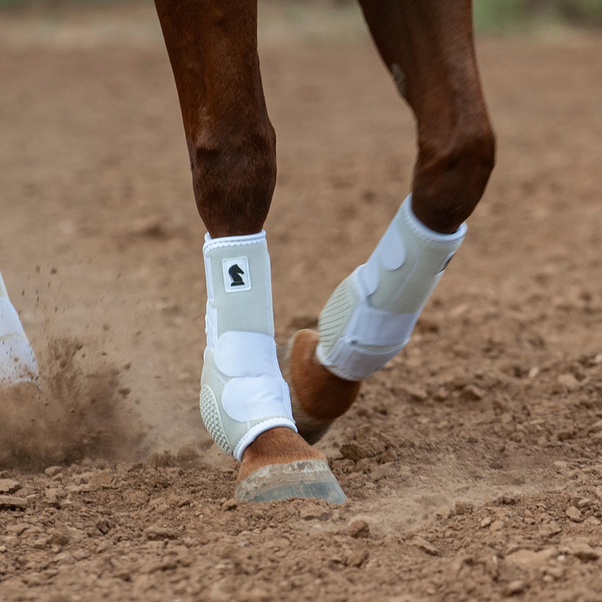 Classic Equine Flexion Front Boots Medium Blue