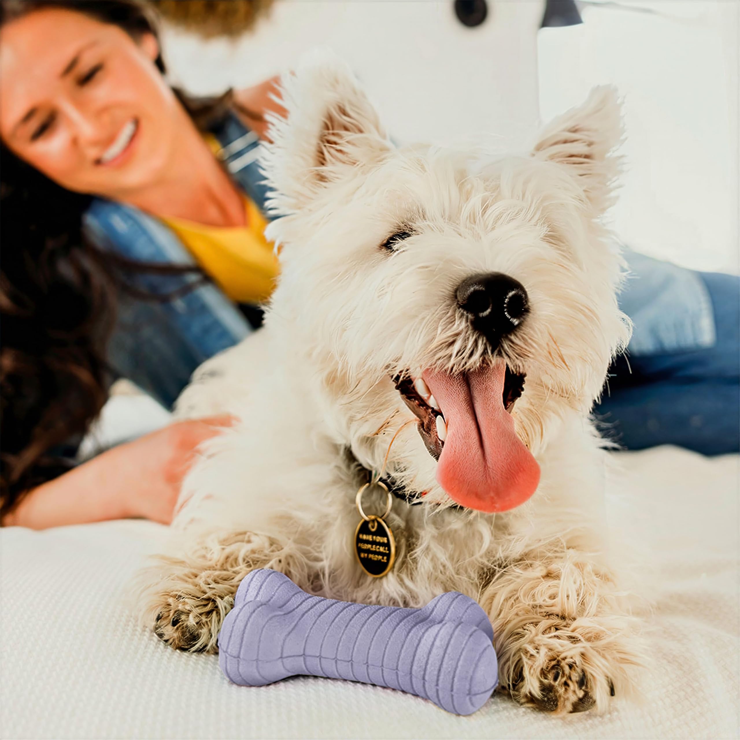 Playology Dog Toys | Dual Layer Bone Durable Chew Toy Bone for Dogs | Medium Lamb Scented Toy - Easy to Clean and Made from Non