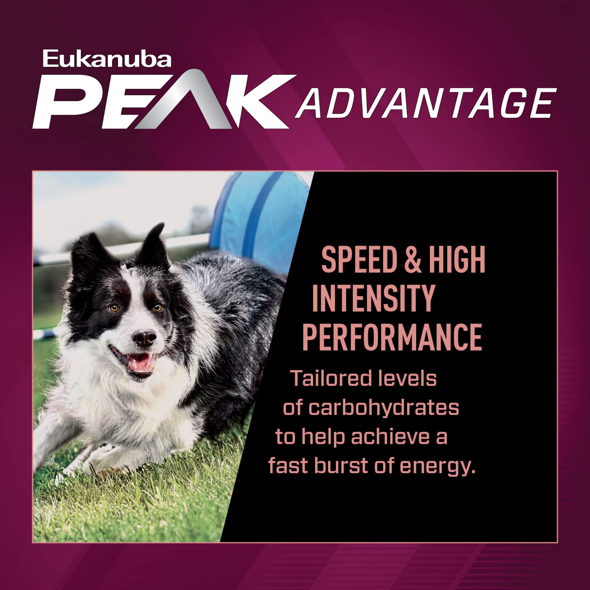 Eukanuba Adult Premium Performance 21/13 Sprint Dry Dog Food, 4.5 lb Bag