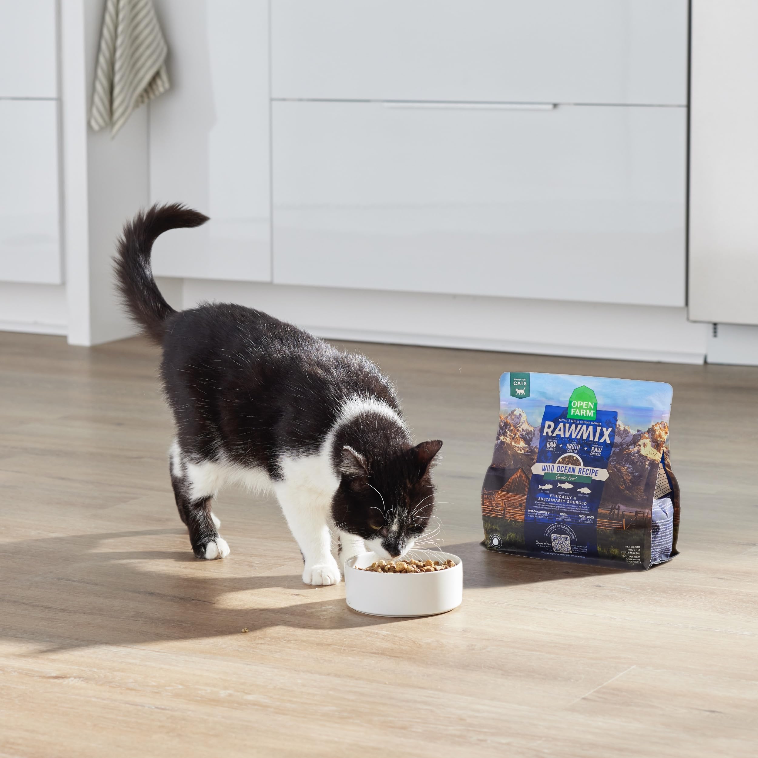 Open Farm RawMix Dry Cat Food, Protein-Packed Kibble with Freeze-Dried Raw, Wild-Caught Fish, 2.25lb Bag