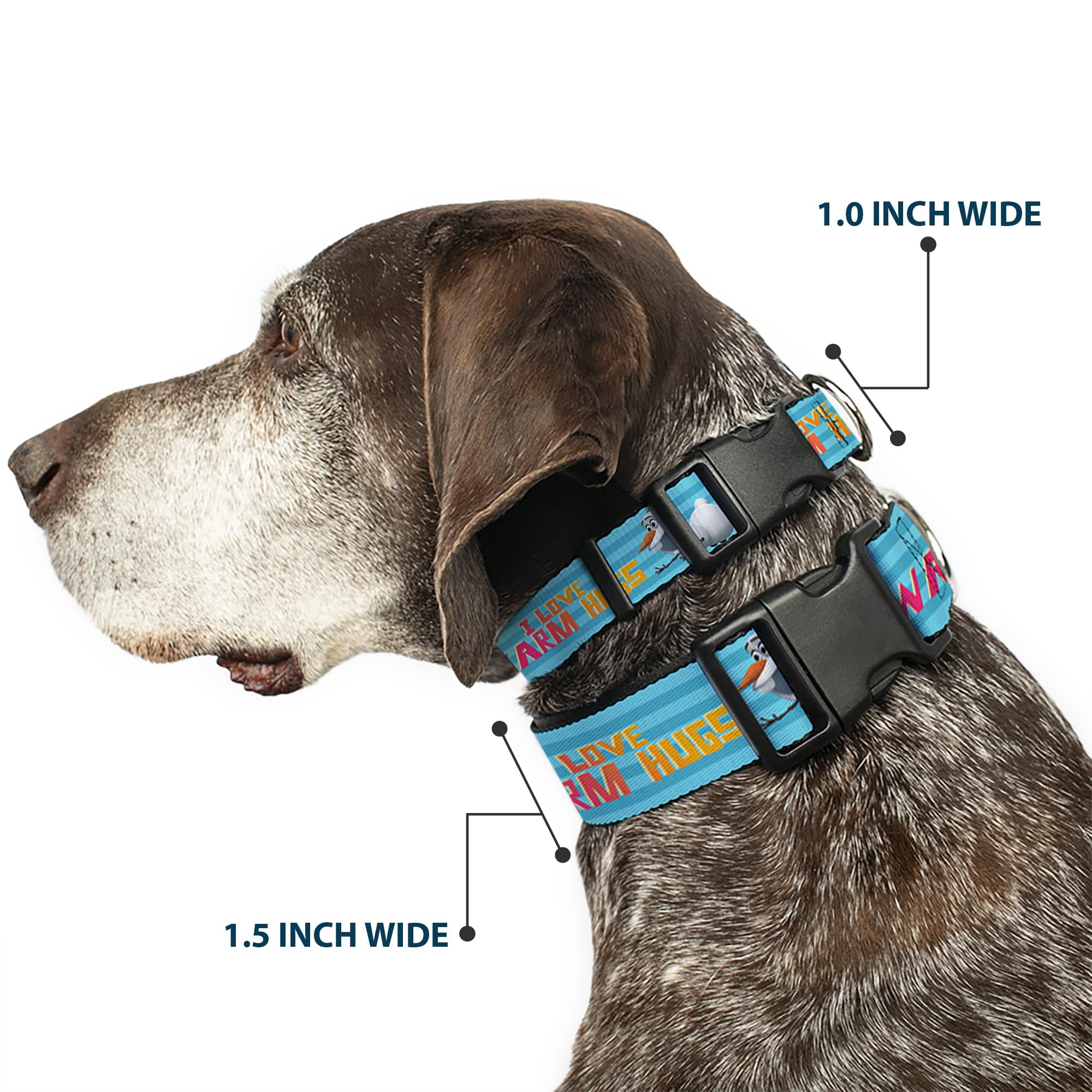 Buckle-Down Plastic Clip Collar - Olaf Pose I Love Warm Hugs Stripe Blues - 1/2' Wide - Fits 9-15' Neck - Large