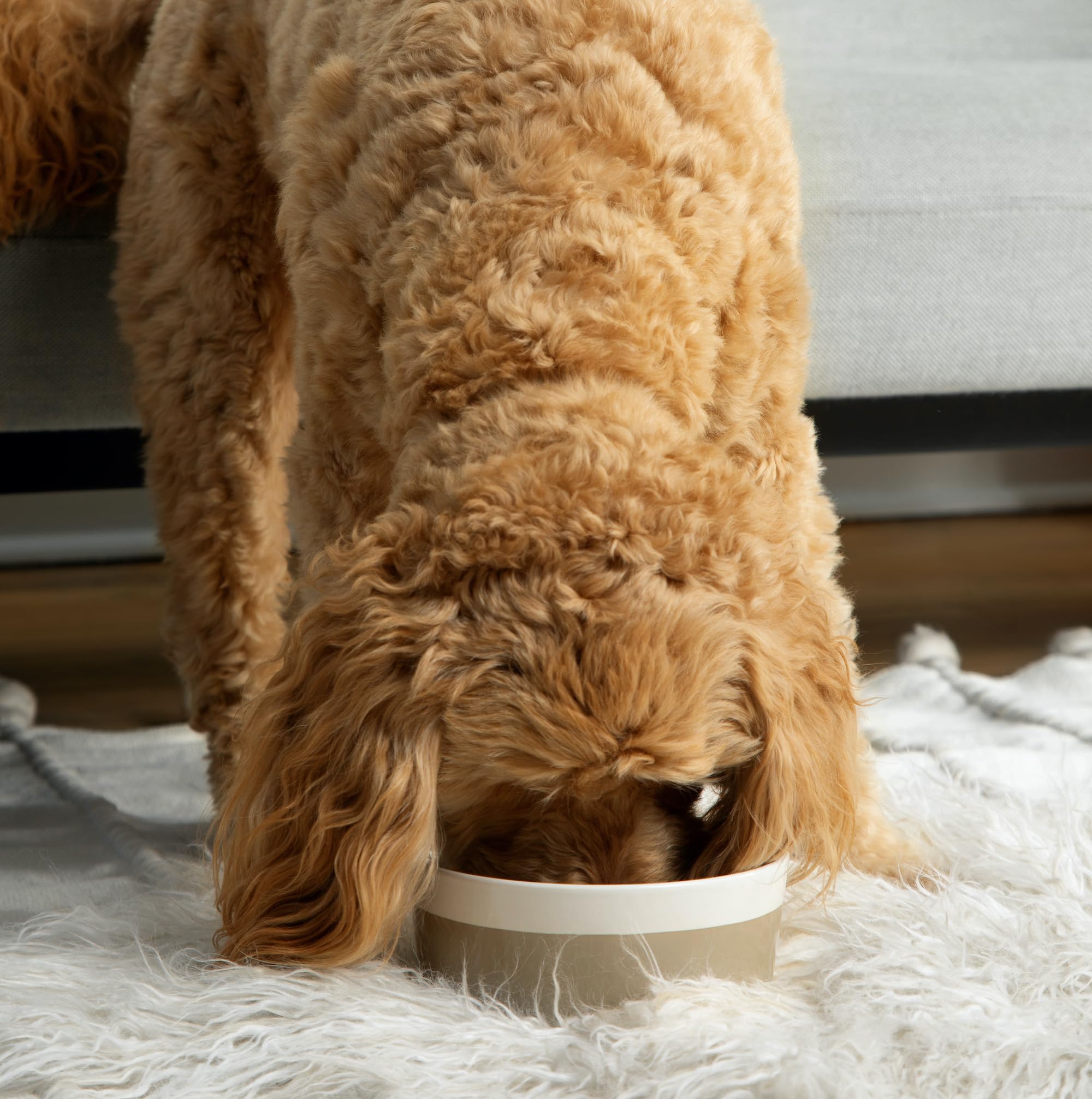 Waggo Dipper Ceramic Dog Bowl Vintage Grey, Small