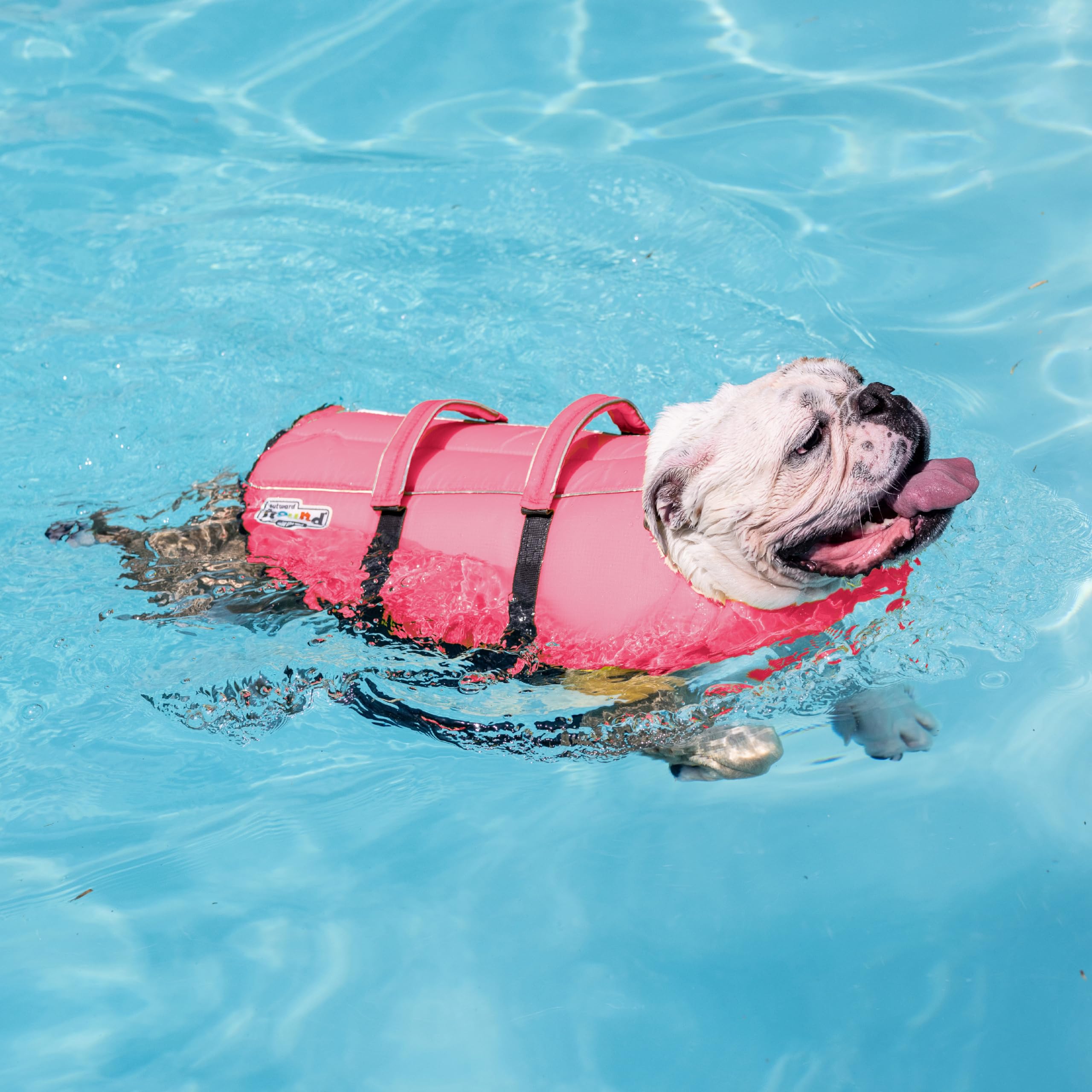 Outward Hound Granby Splash Pink Dog Life Jacket, Large