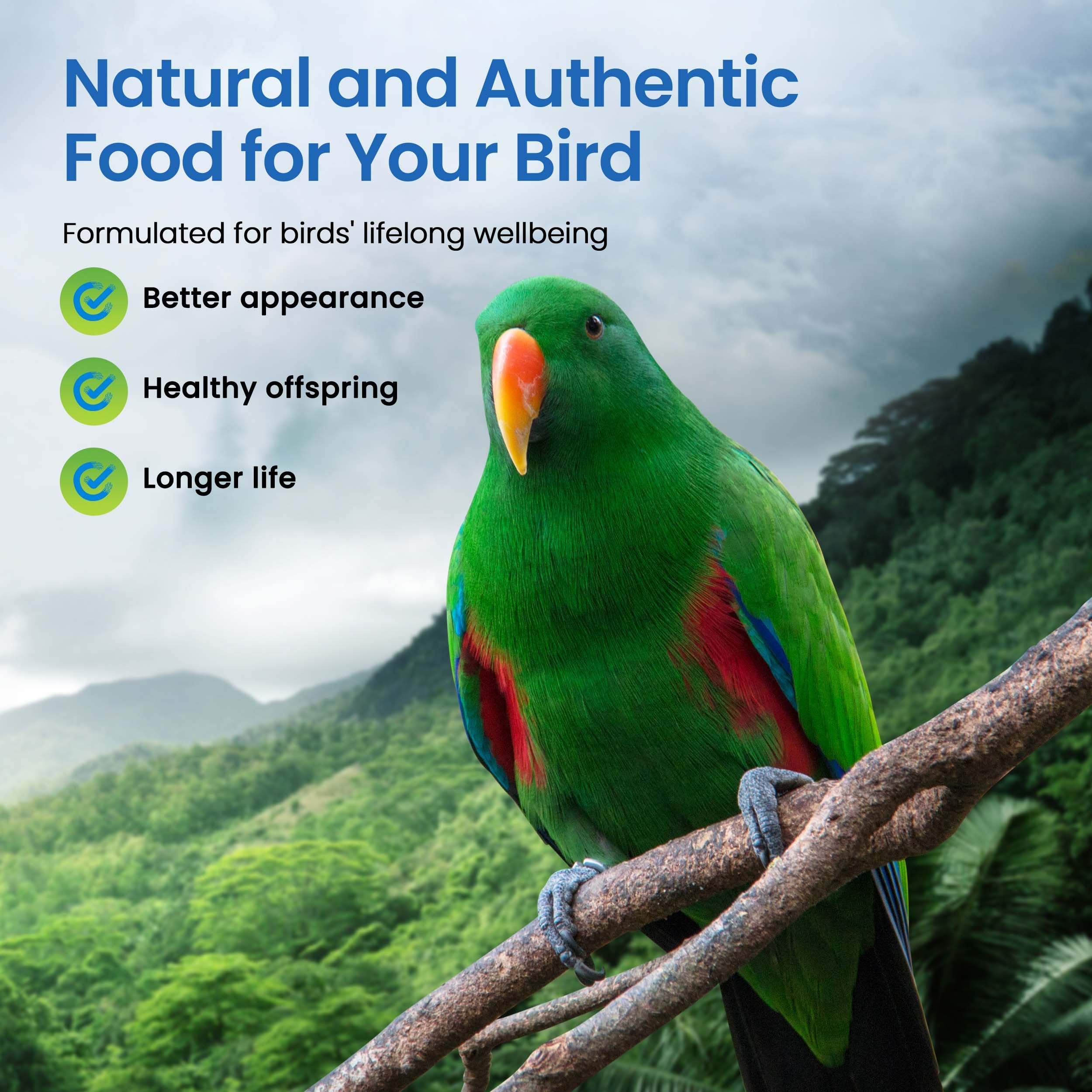Harrisons Bird Foods Pepper Lifetime Coarse Certified Organic Non-GMO Formula Bird Food 25lb