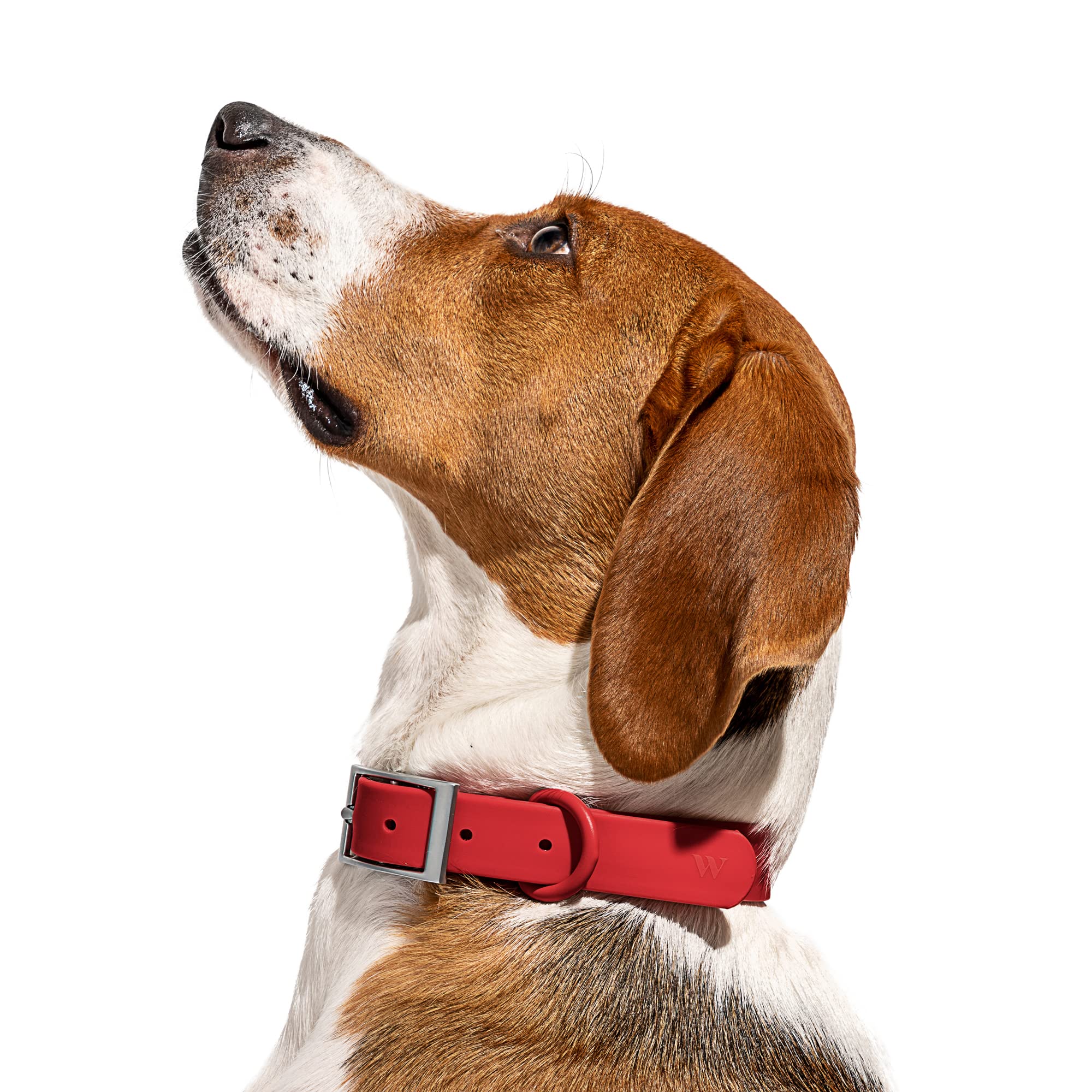 Wild One Collar - Small - Strawberry