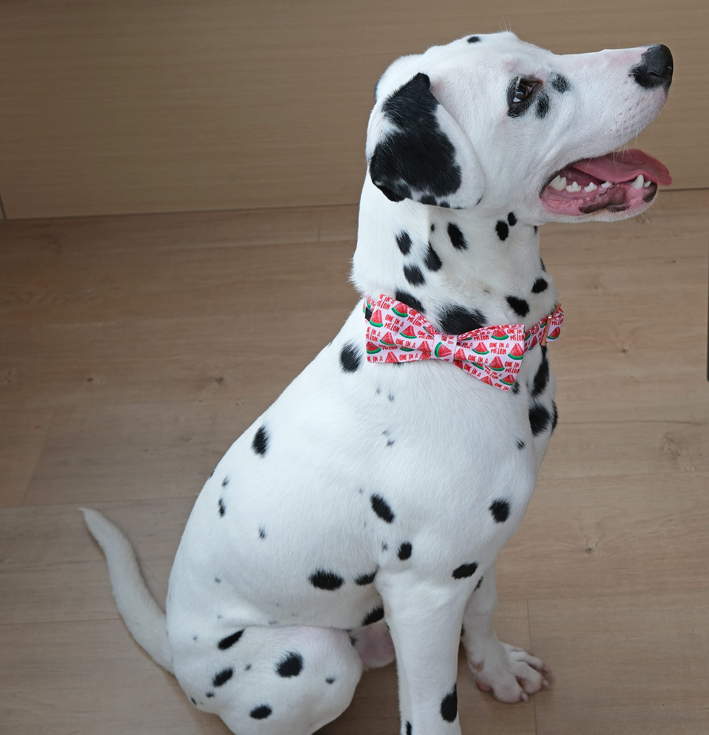 Aring Pet Summer Dog Collar - Pink Watermelon Dog Collar With Adjustable Cotton Bowtie And Metal Buckle
