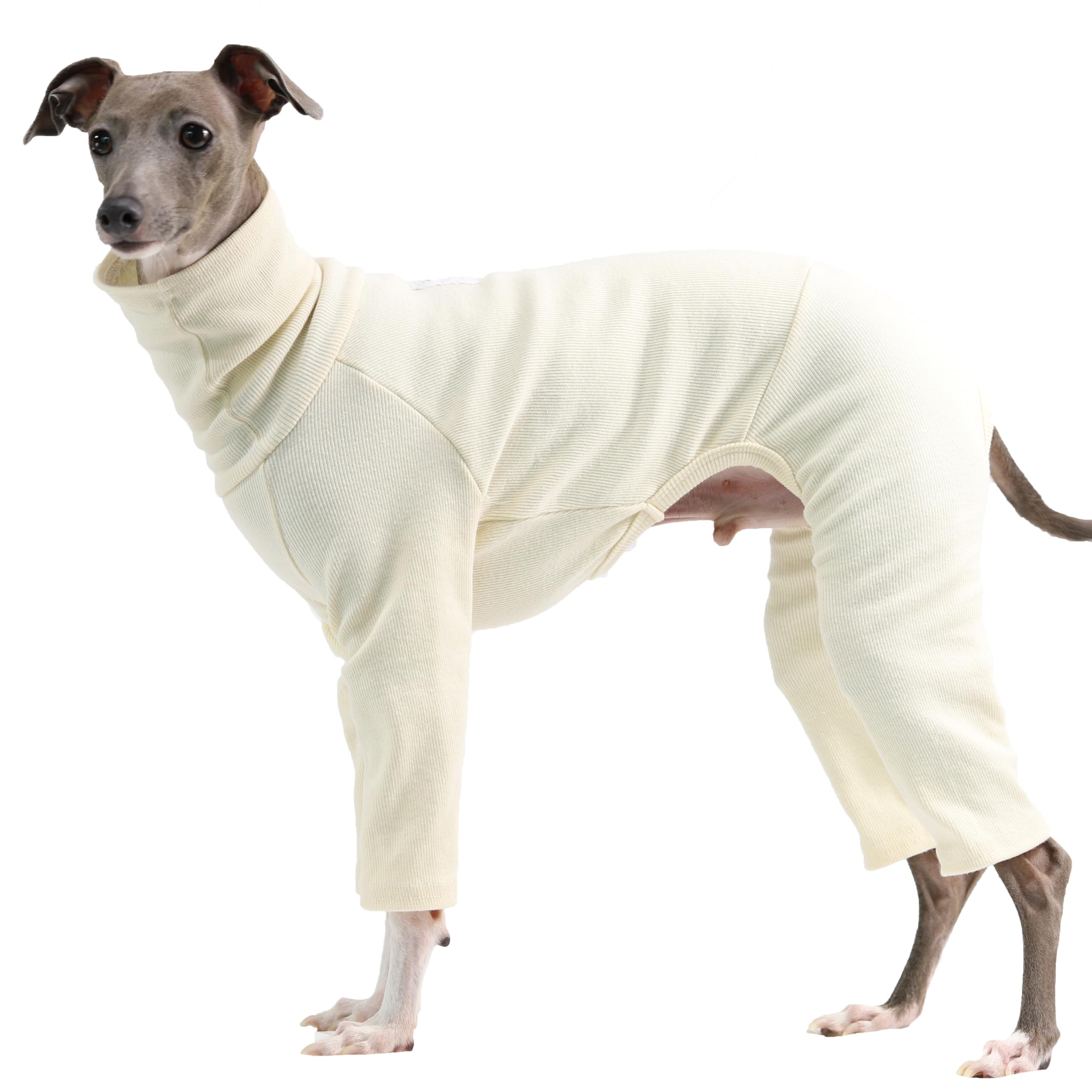D Doggy Star Italian Greyhound Clothes Stretchable Onesie Whippet For Dog (M,Ribbed Ivory)